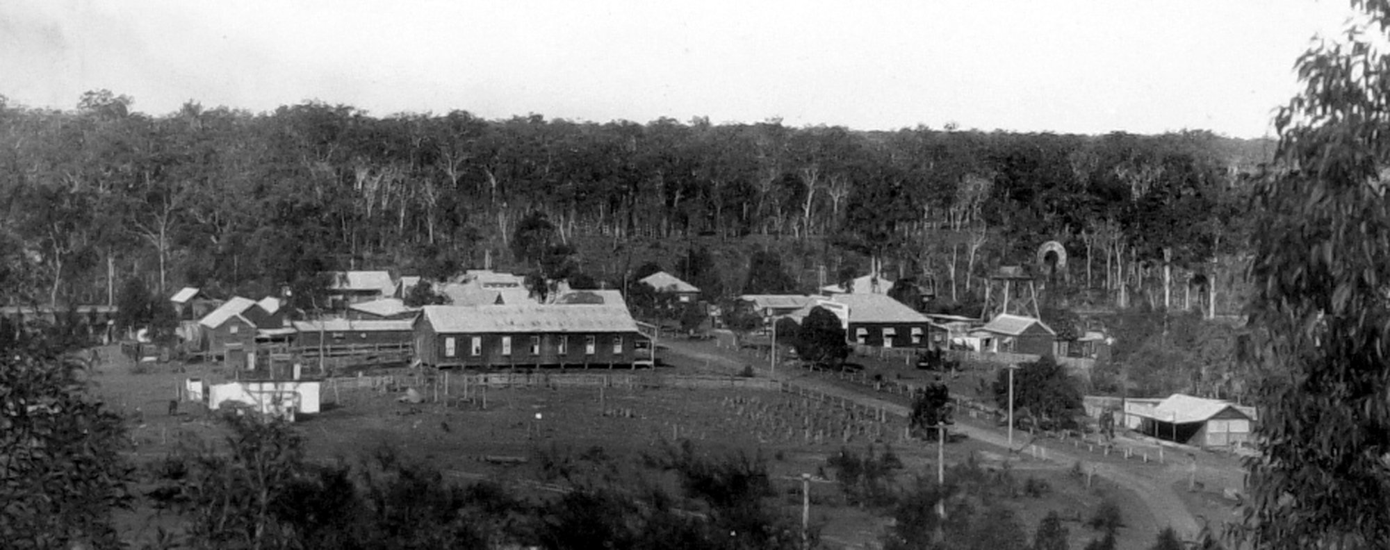 Beerburrum 1933 - Qld State Archives