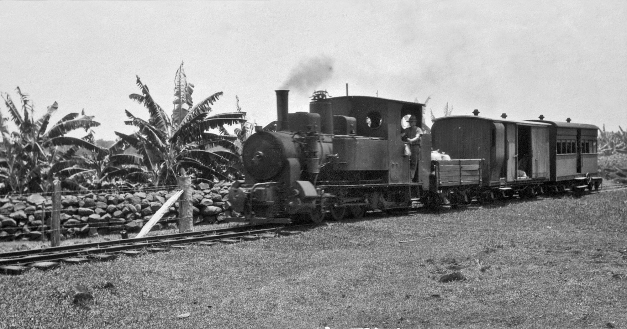 Buderim Mountain Tramway 1931 - Qld State Archives