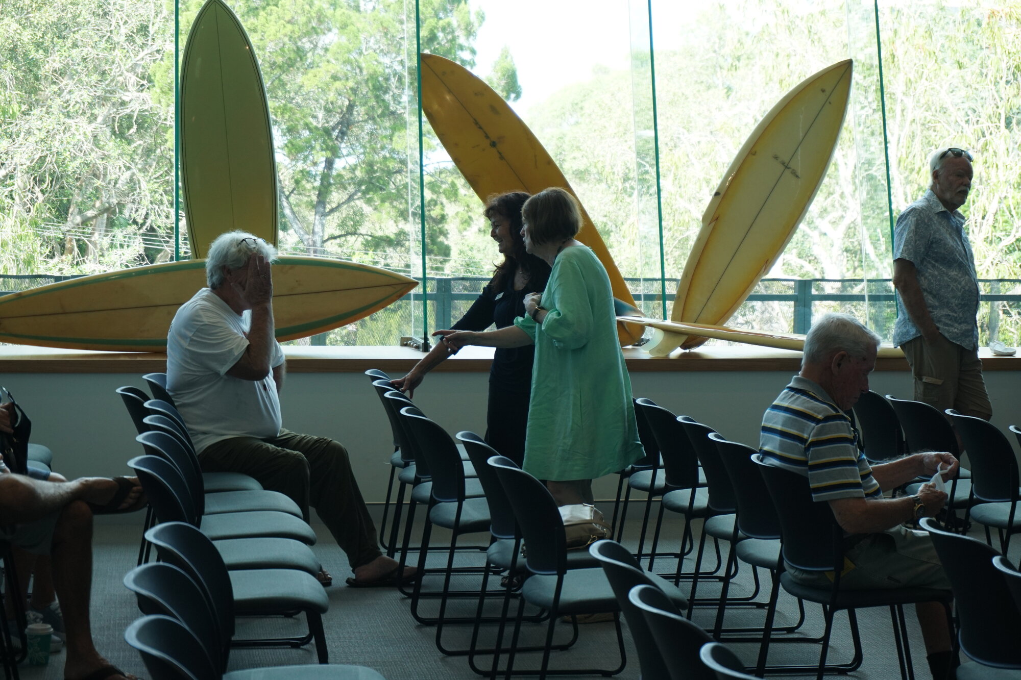 Surfboards on Display