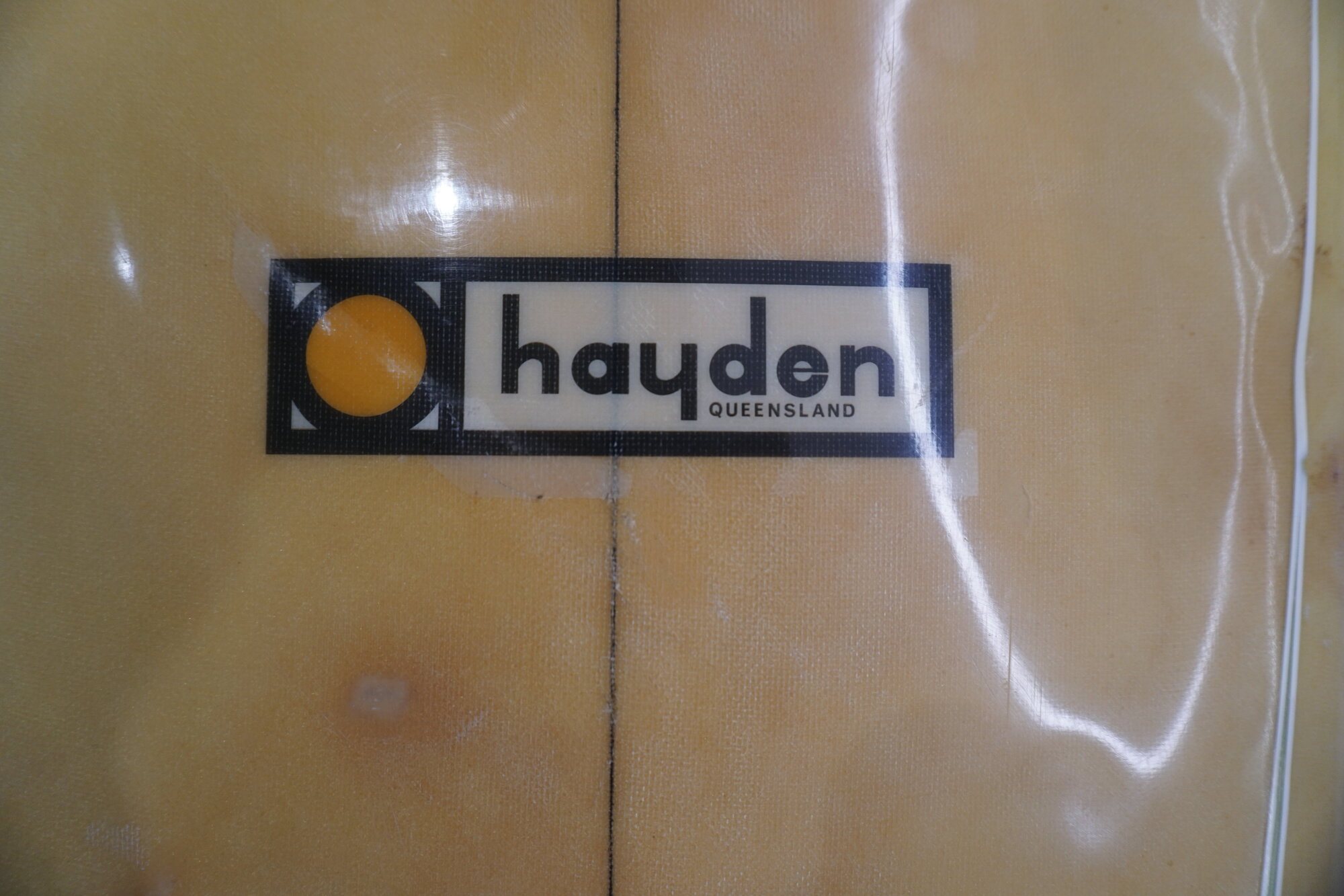 Hayden Logo
