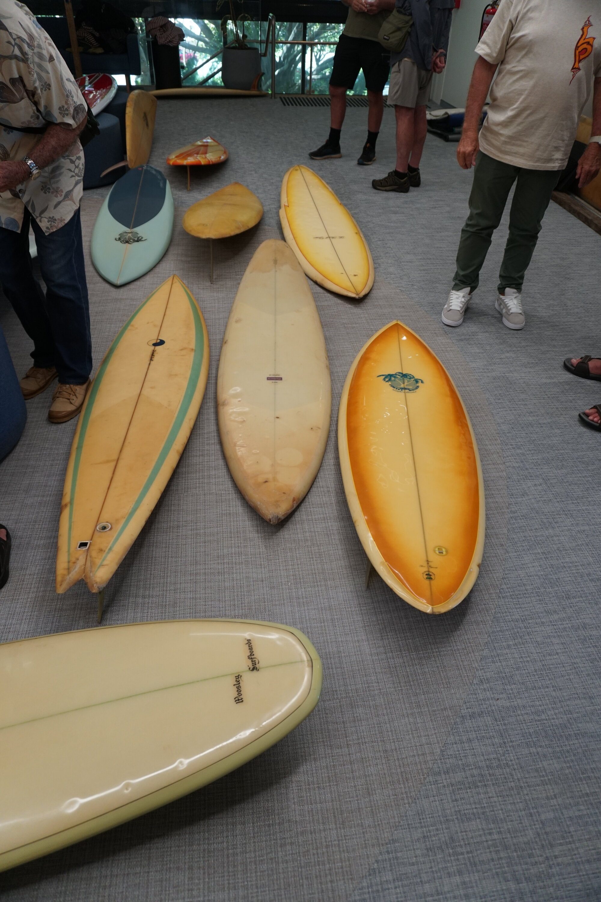 Surfboards on Display