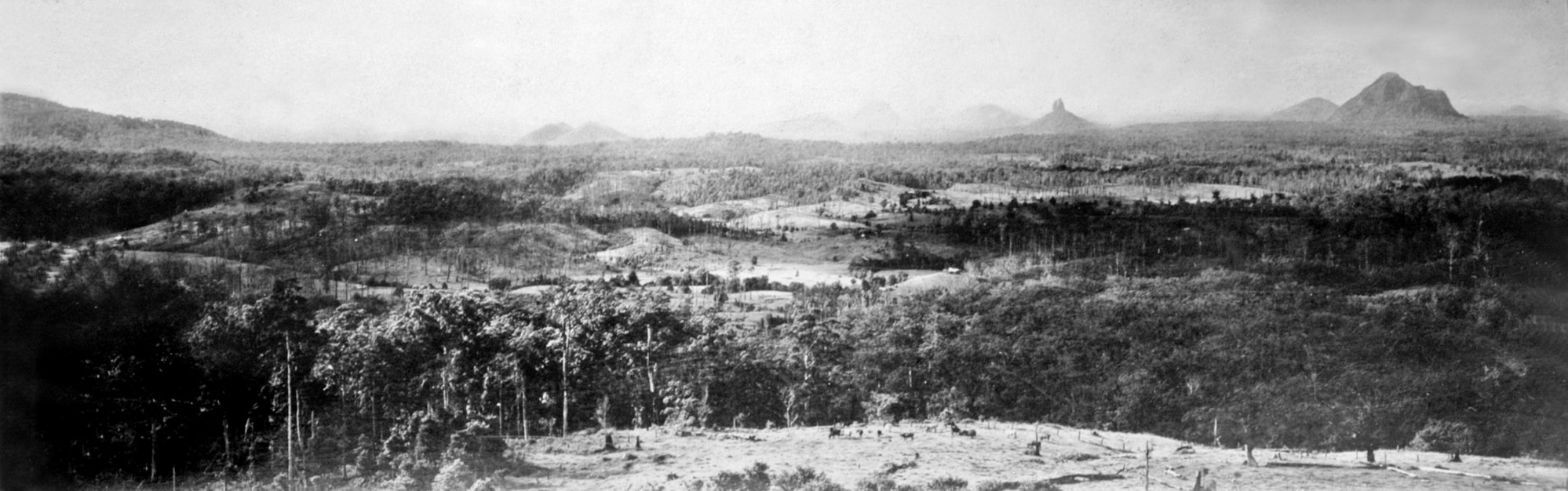 Glasshouse Mountains c1931 - Qld State Archives