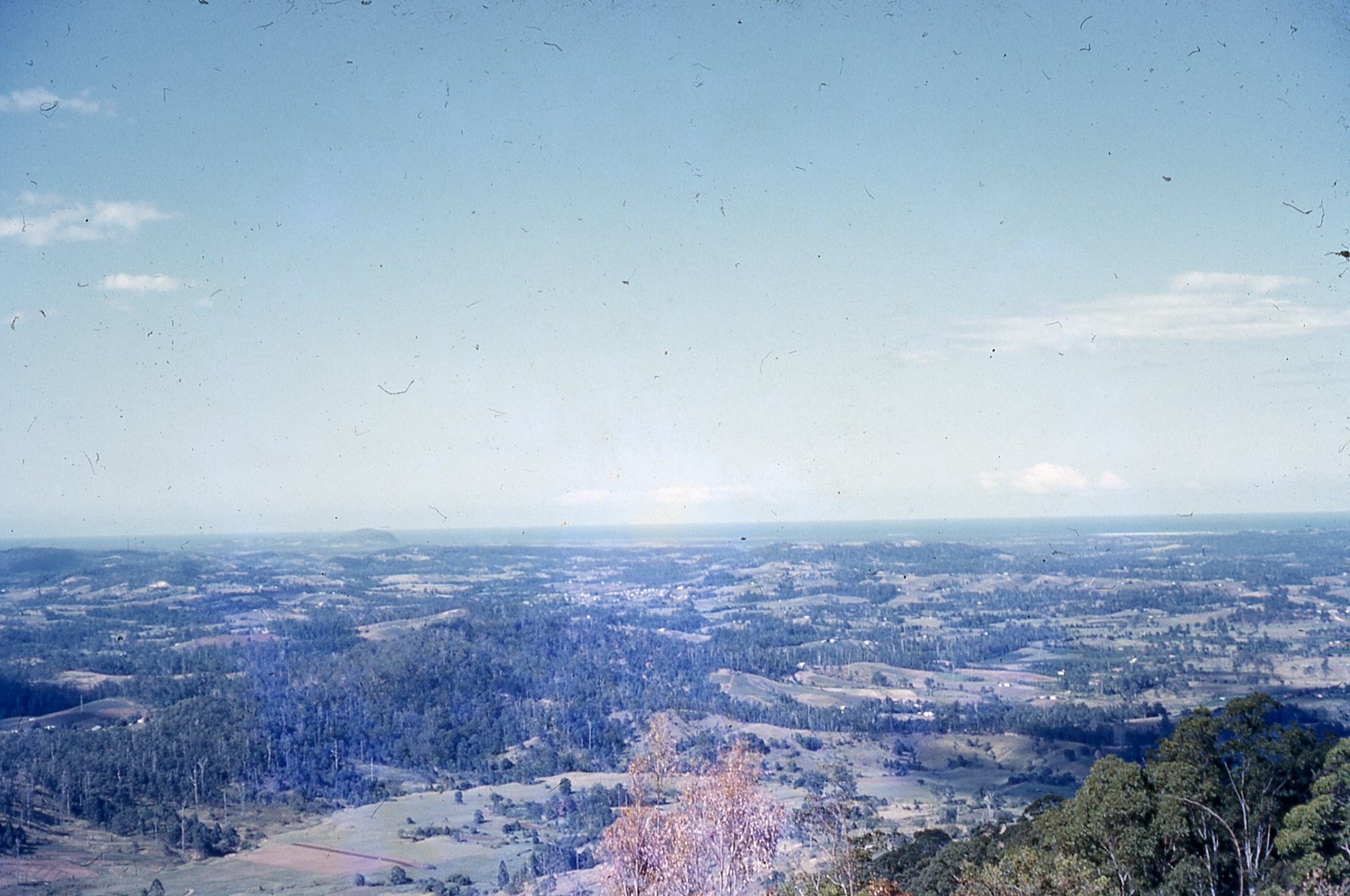 from the Blackall Range