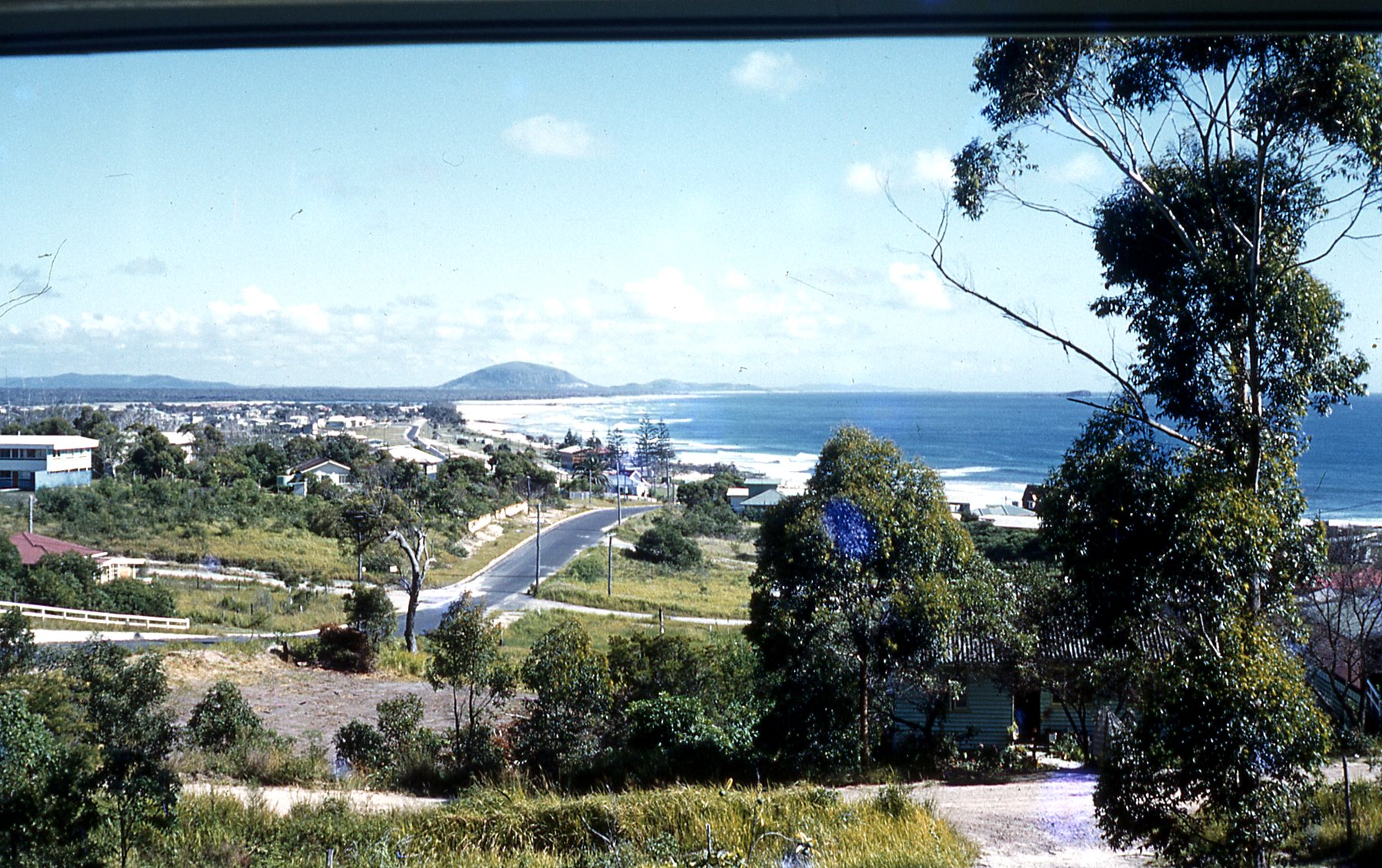 Alexandra Headland