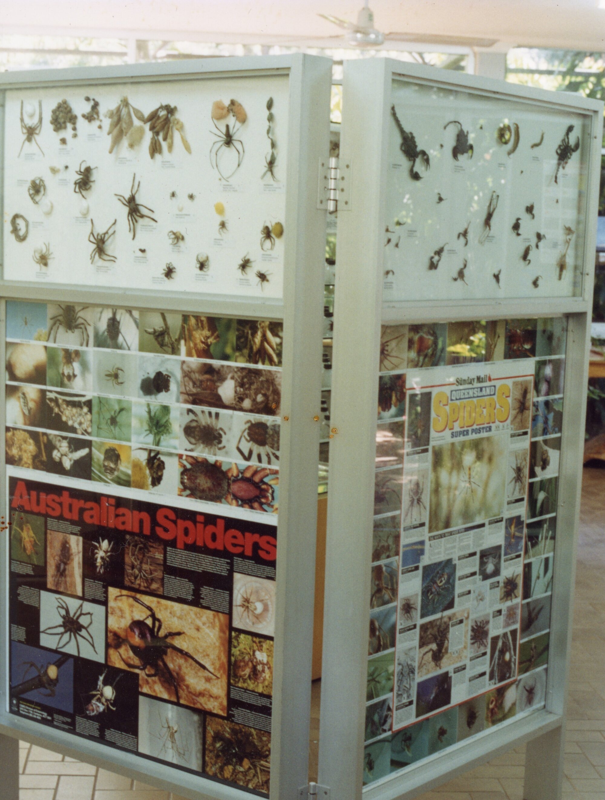 Specimen display