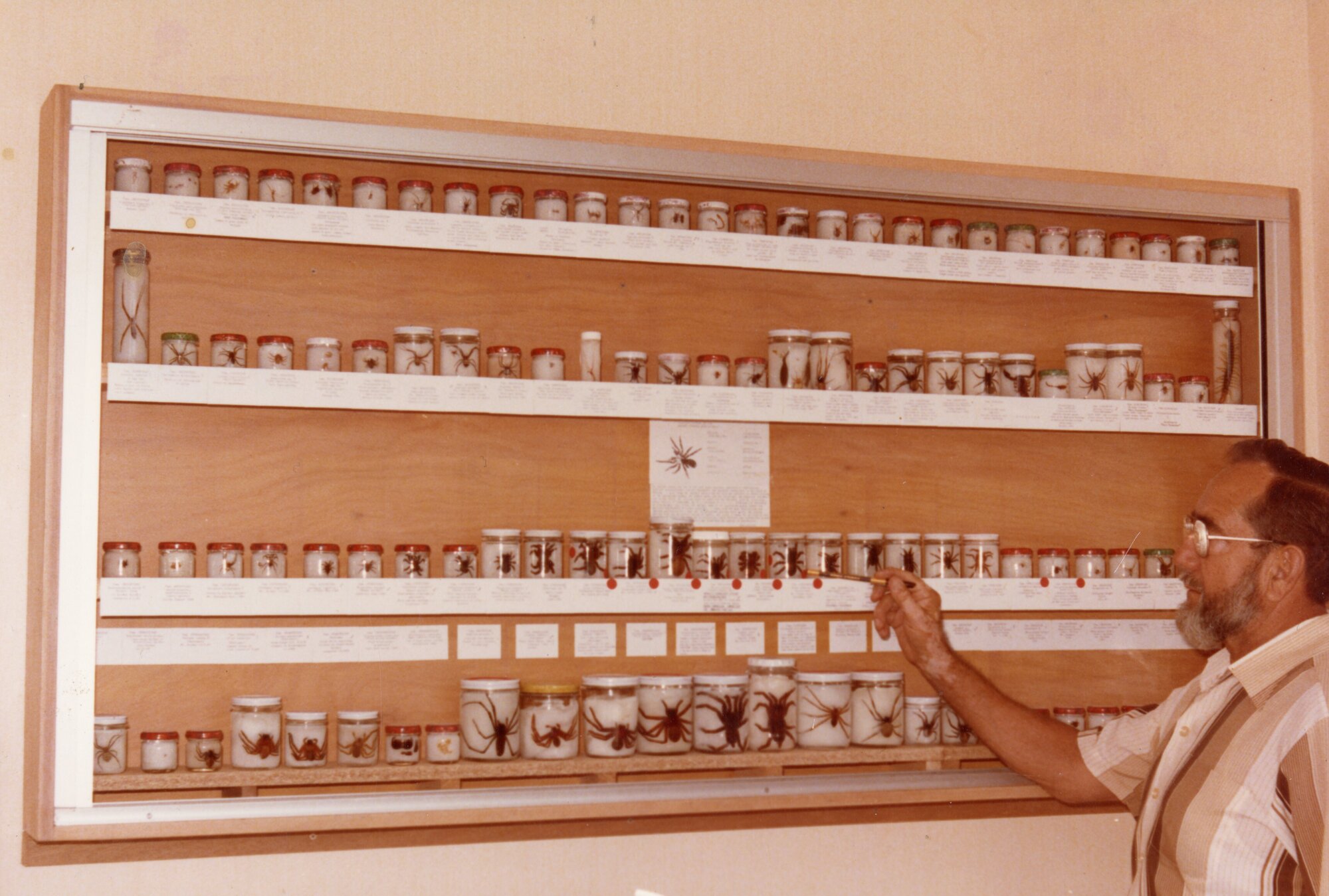 Specimen display