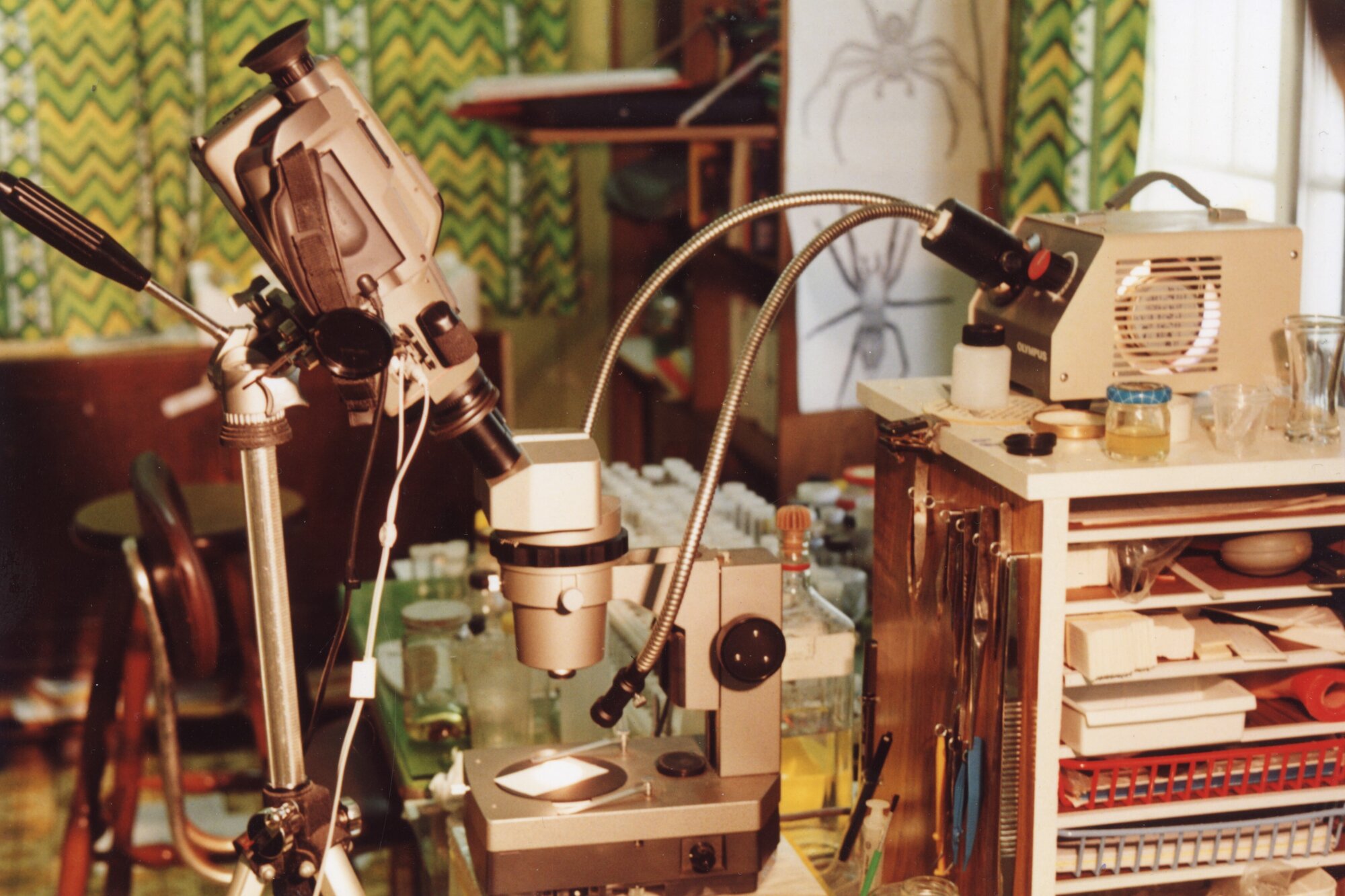 The work bench