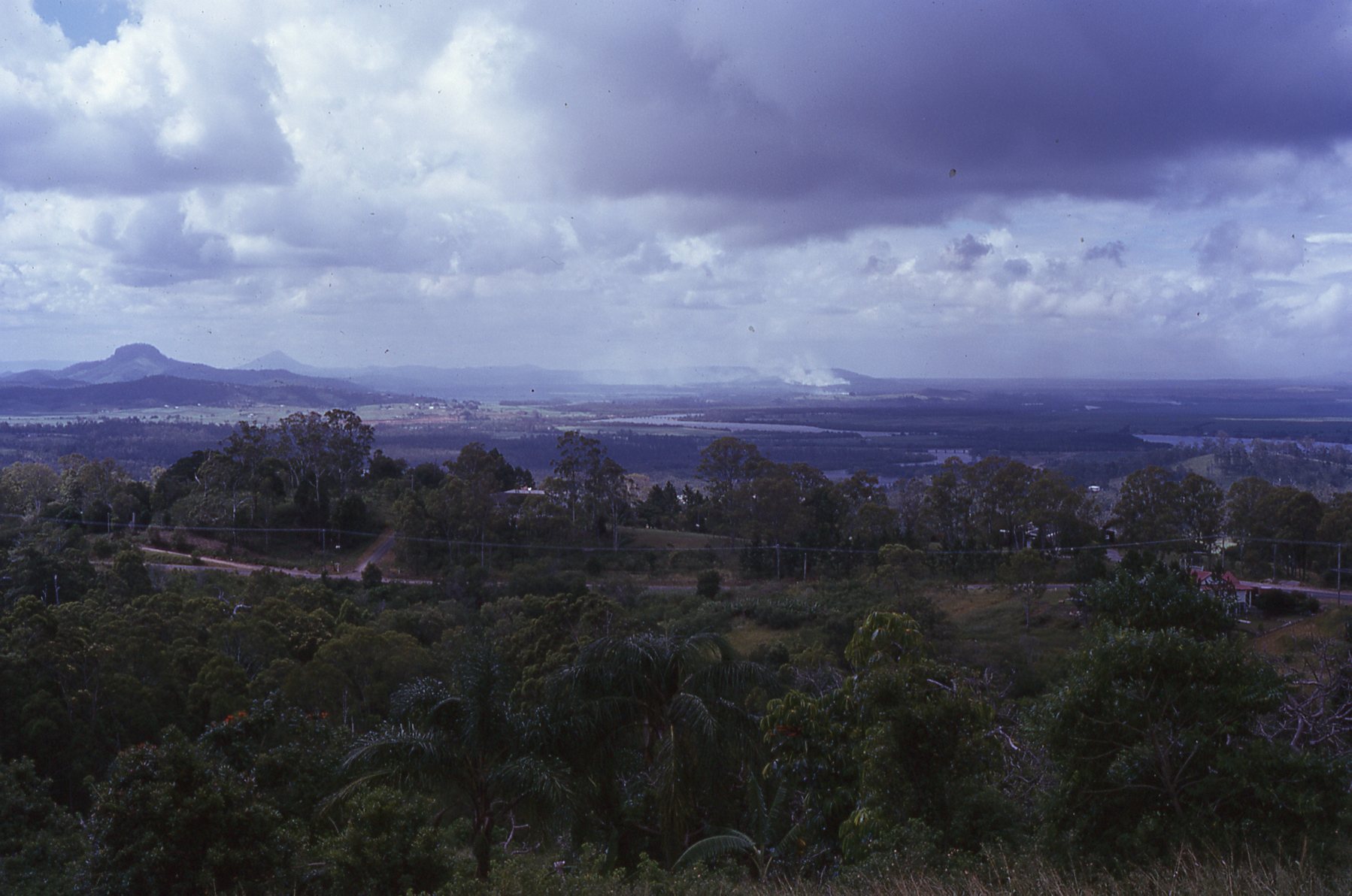 from Buderim