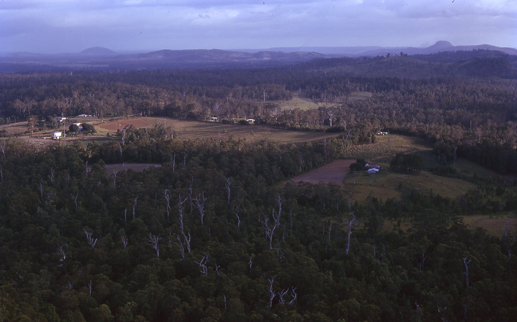 from Mt Timbeerwah