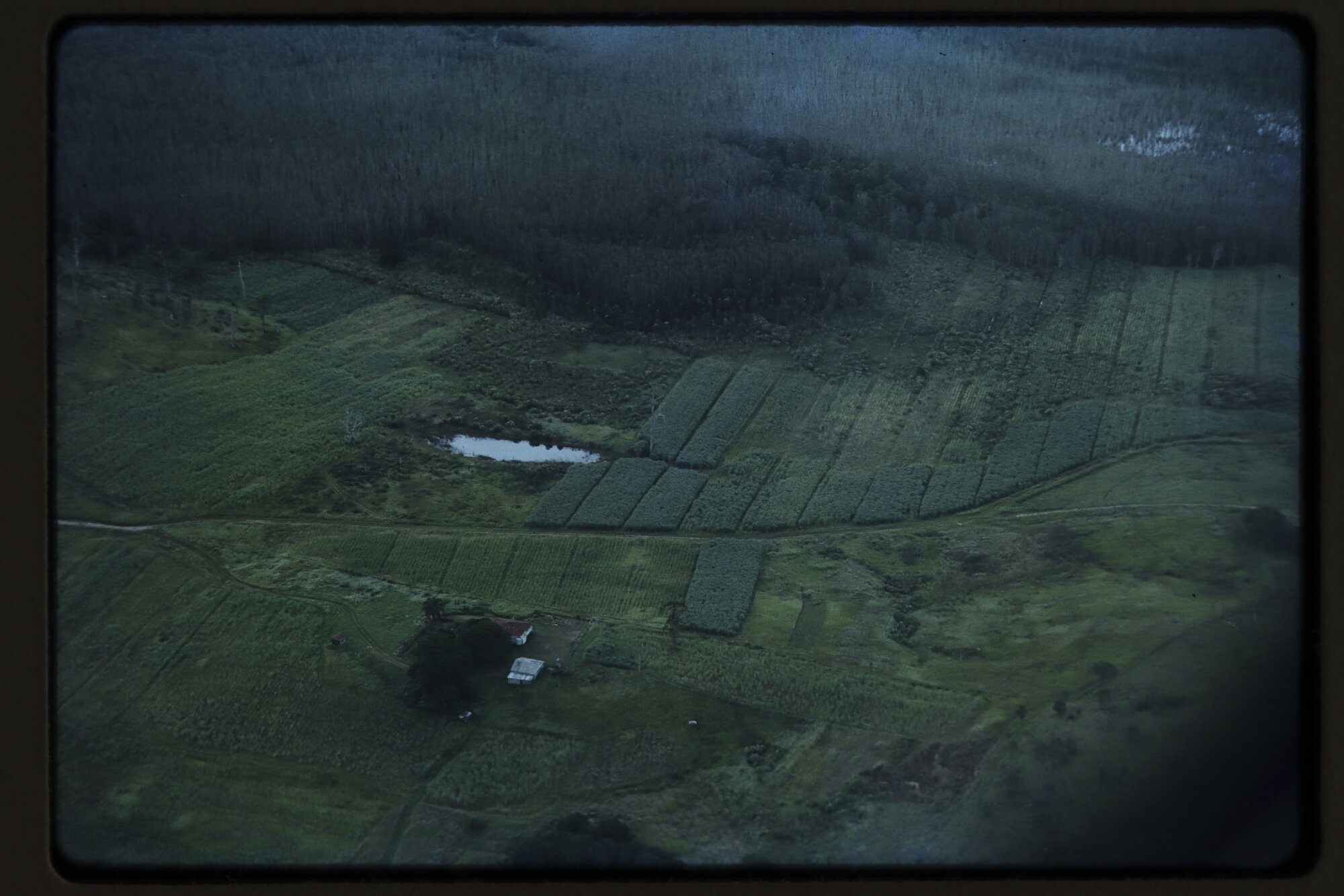 Aerial Photos_0036