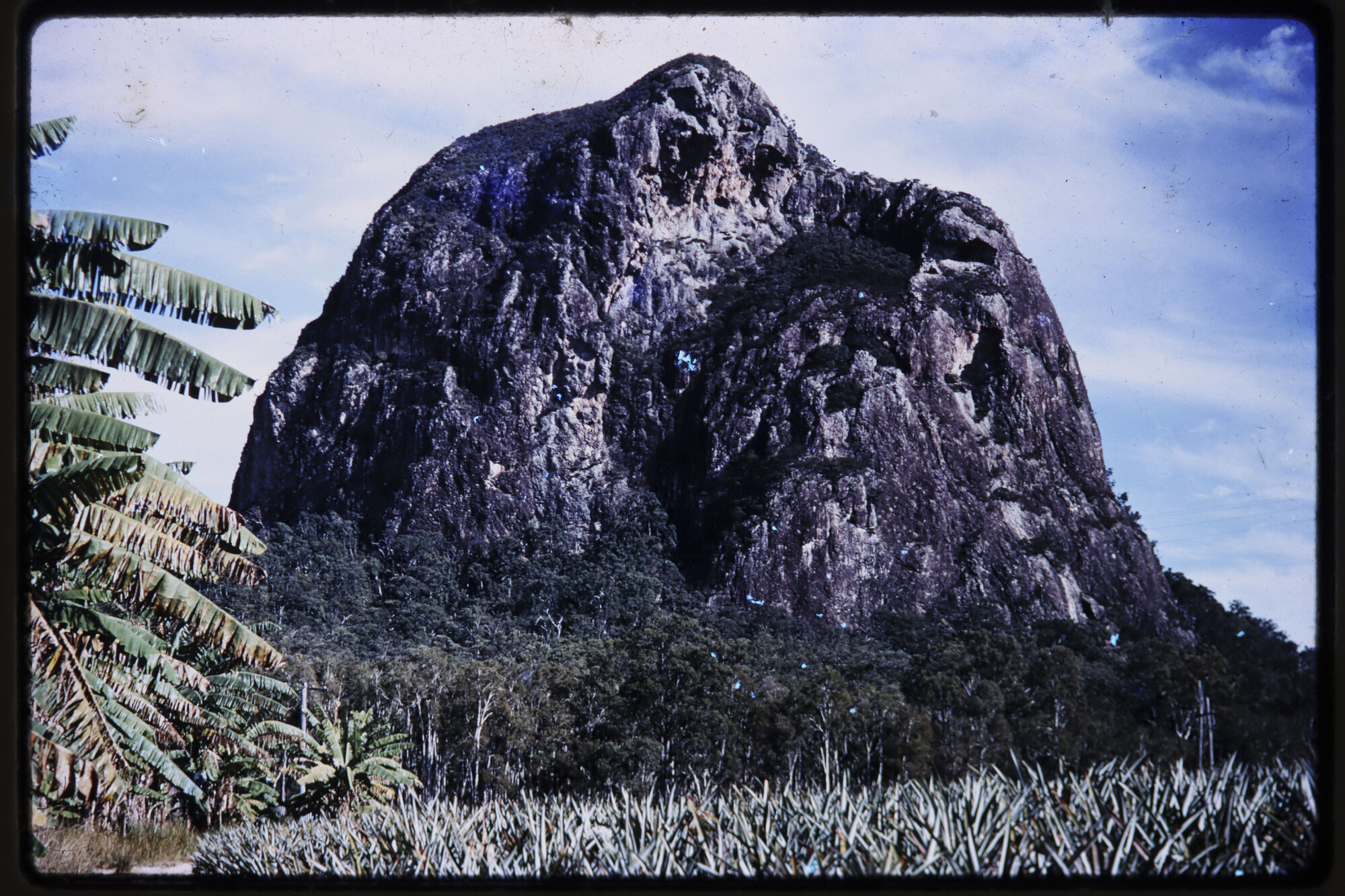 Mt. Tibrogargan  