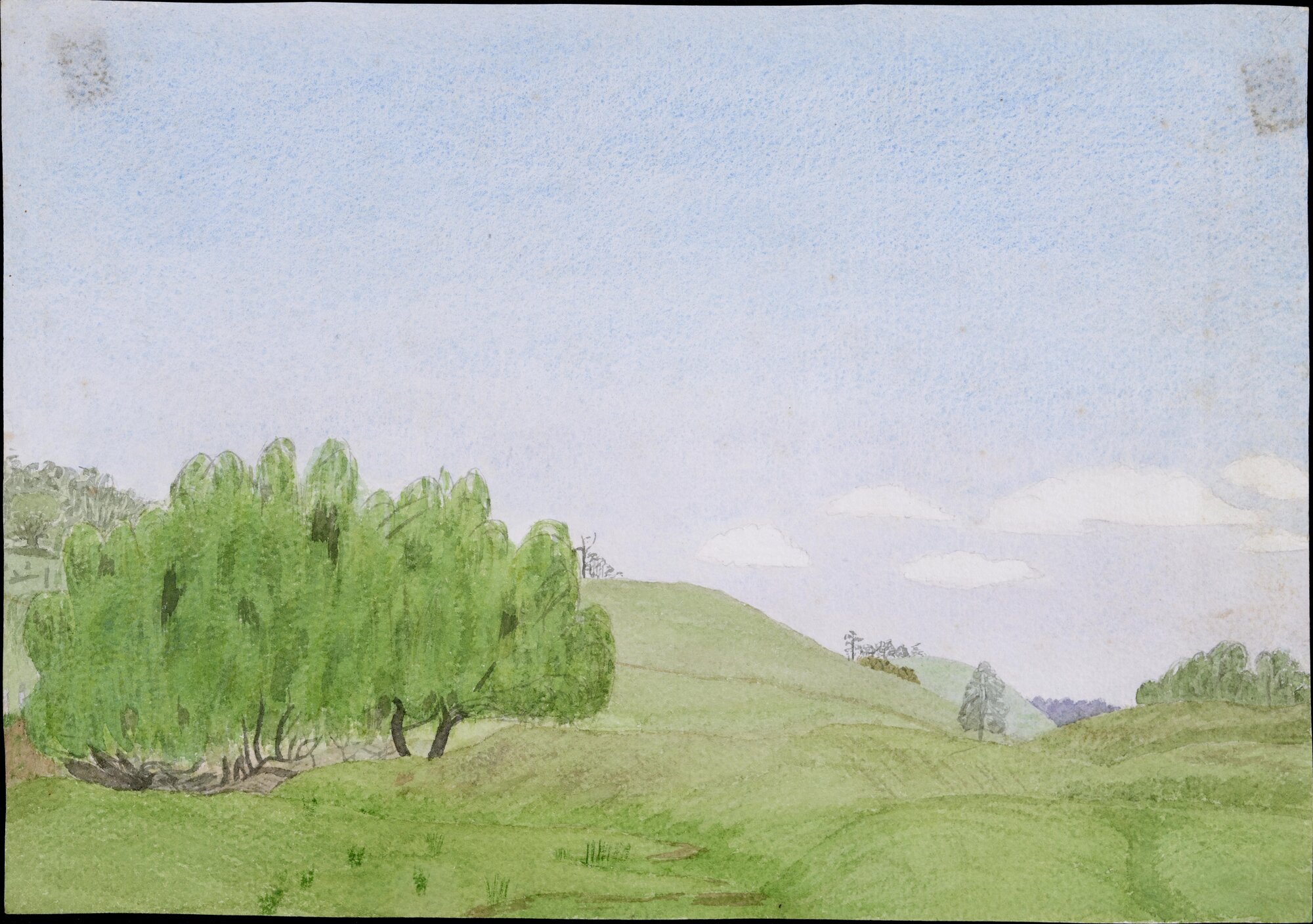 Untitled - Landscape