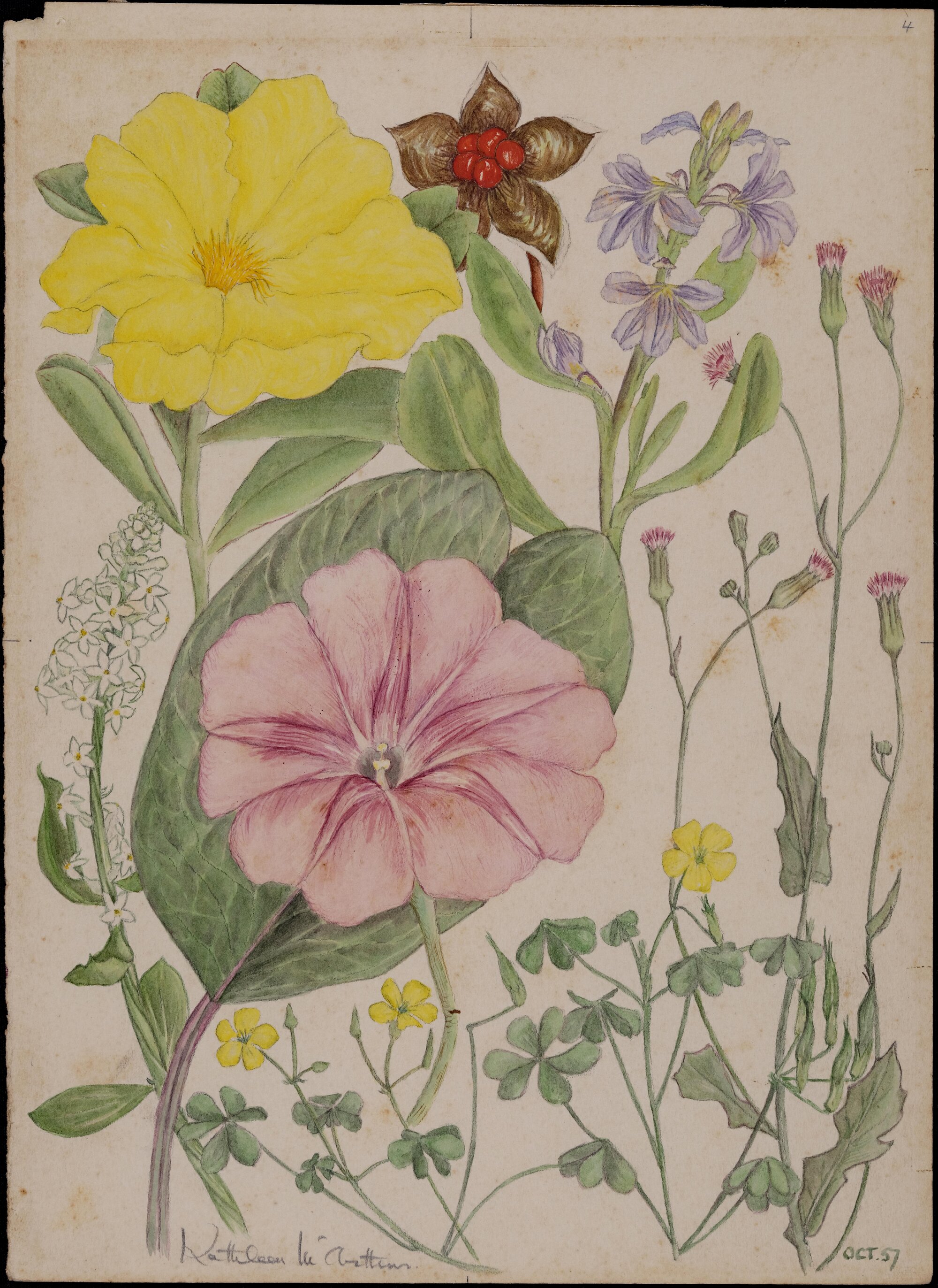 Untitled - mixed wildflowers