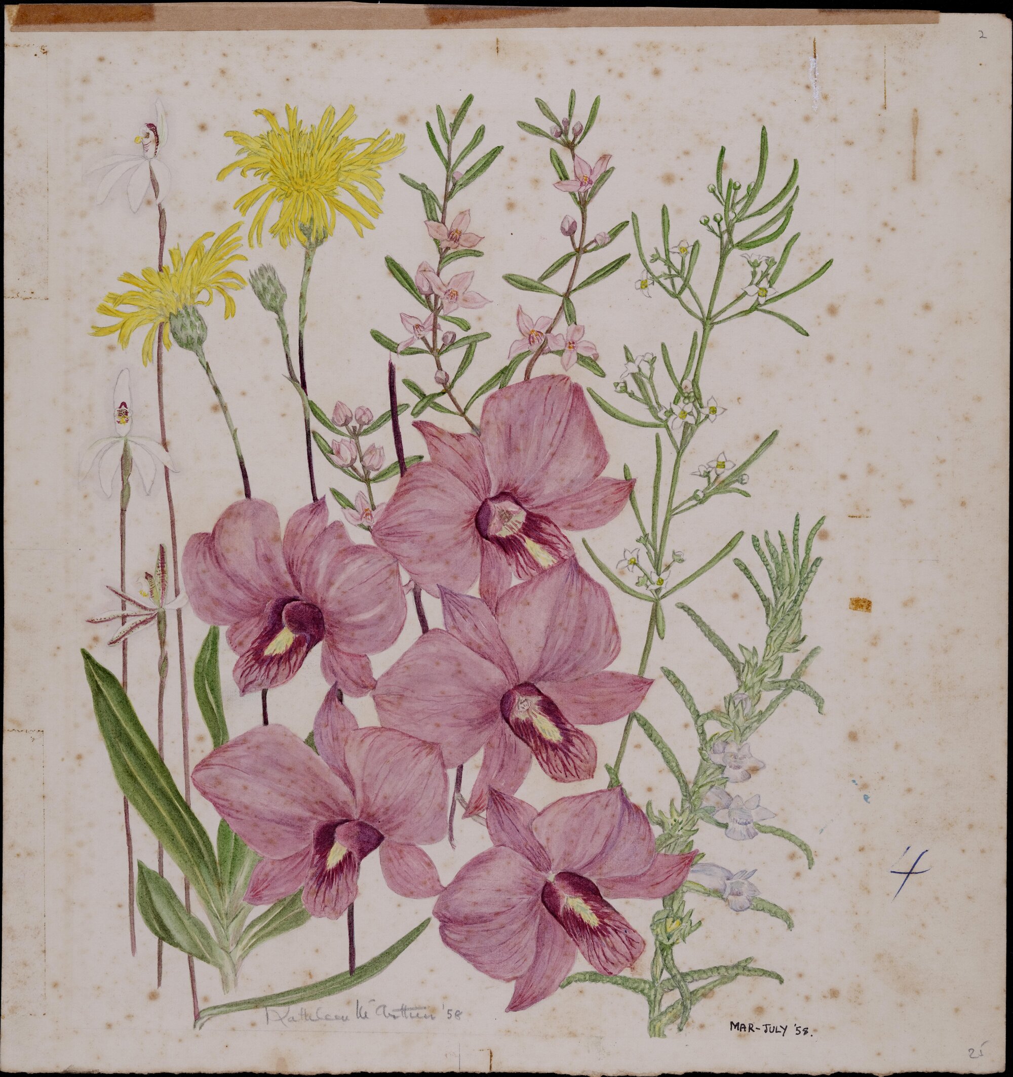 Untitled - mixed wildflowers