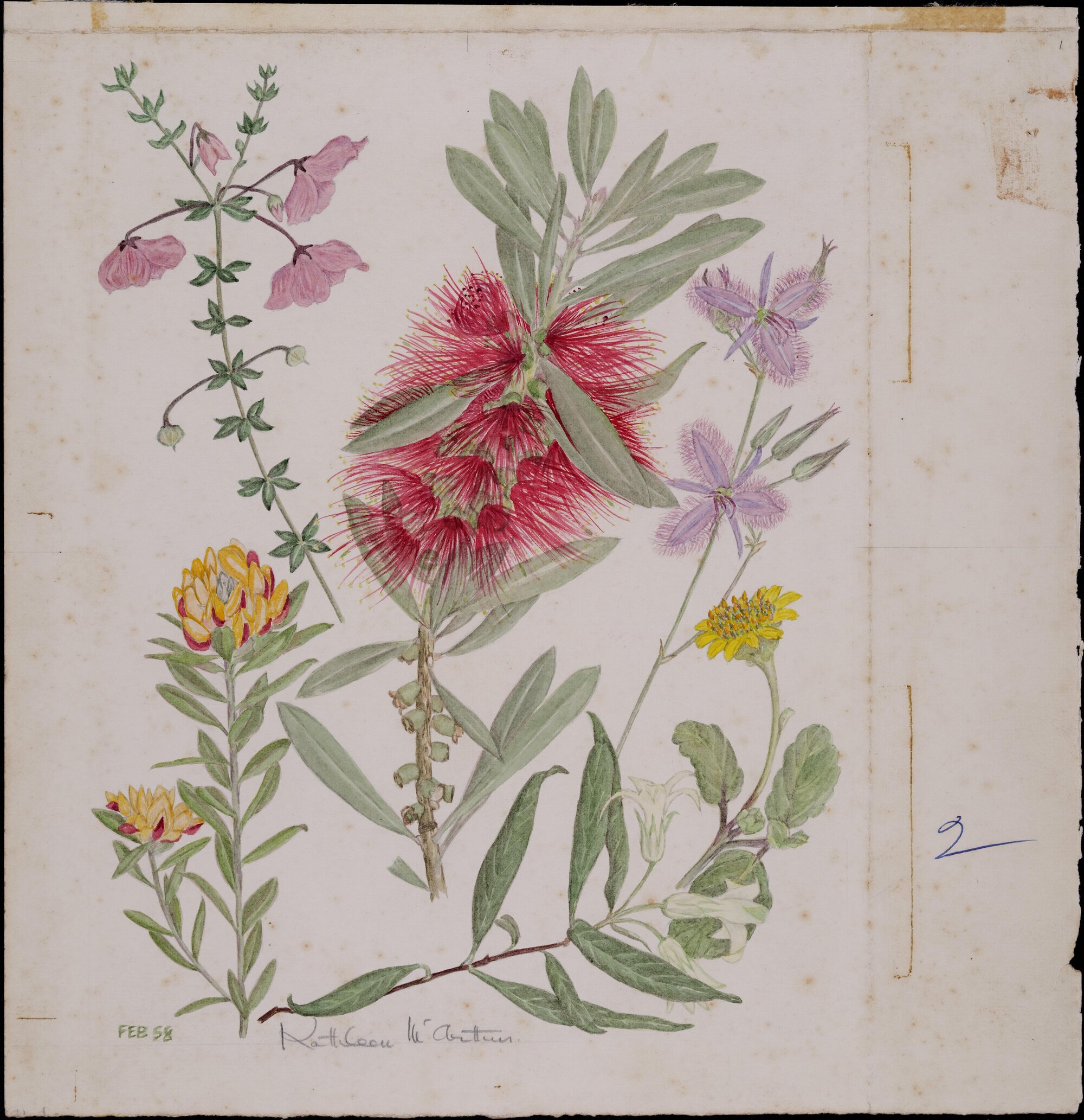 Untitled - mixed wildflowers