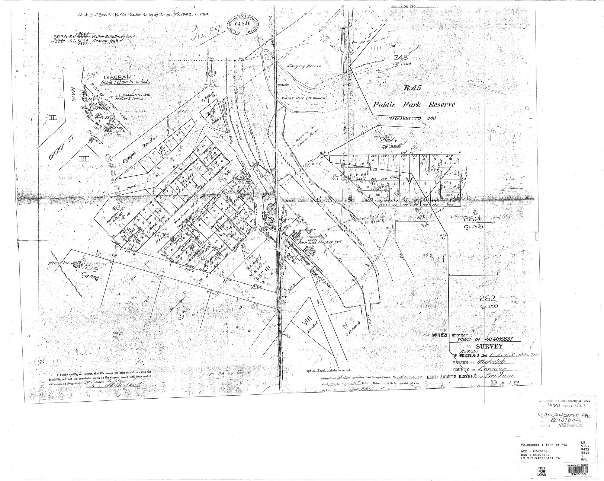 Town of Palmwoods - Survey