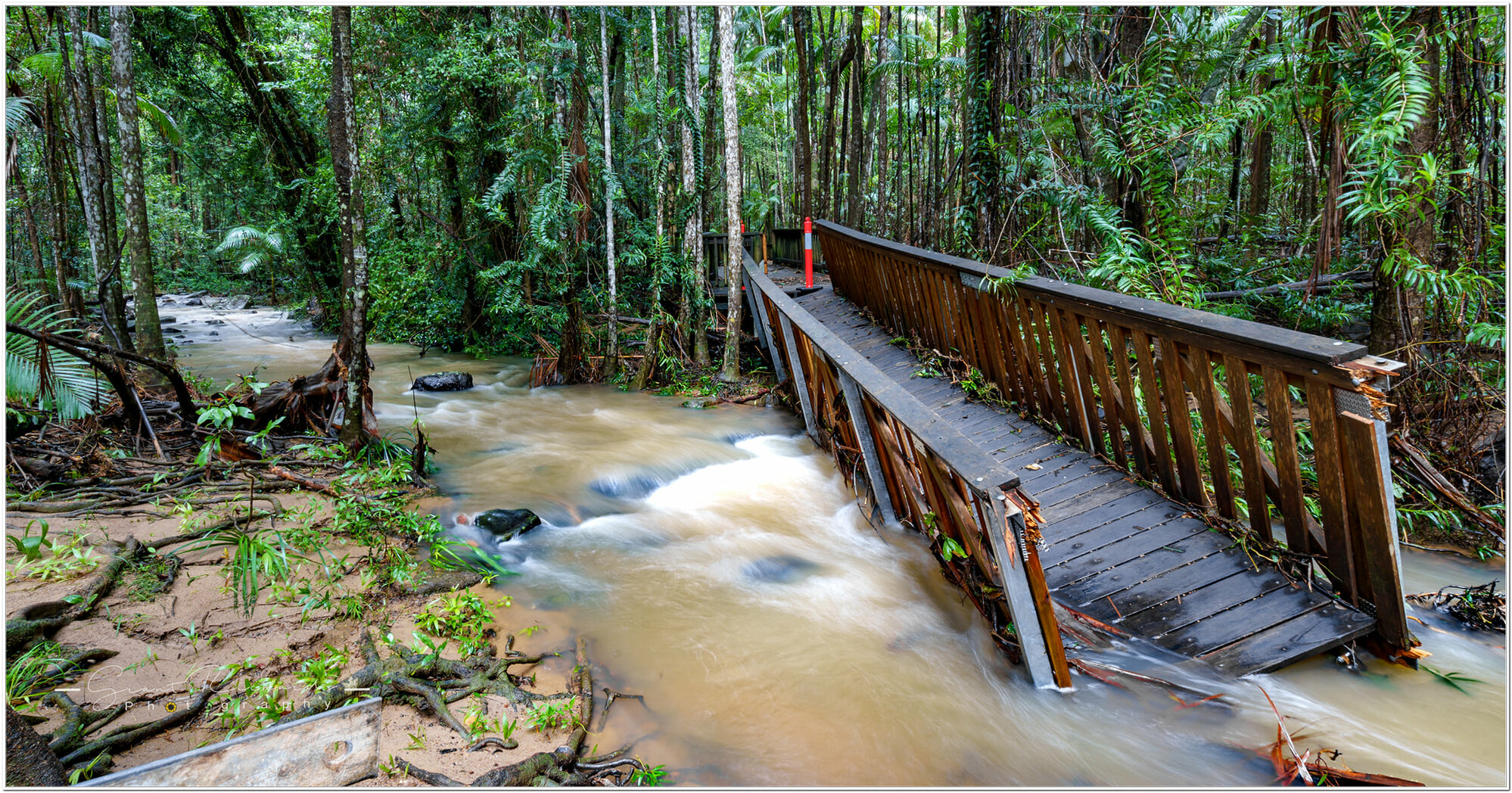 Buderim waterfall boardwalk - 2022 Floods