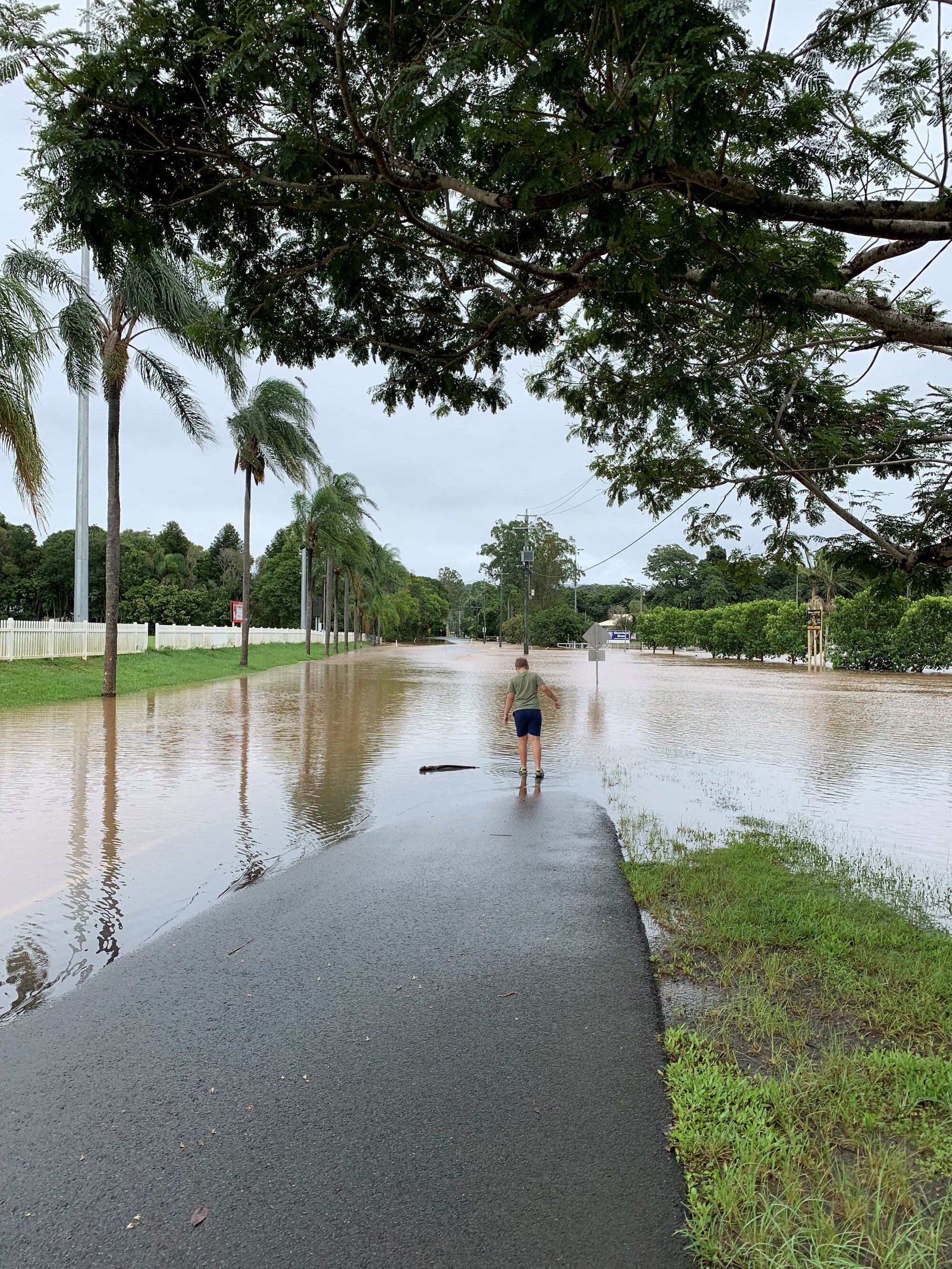 Flooded Jubilee Drive, Palmwoods. February 2022