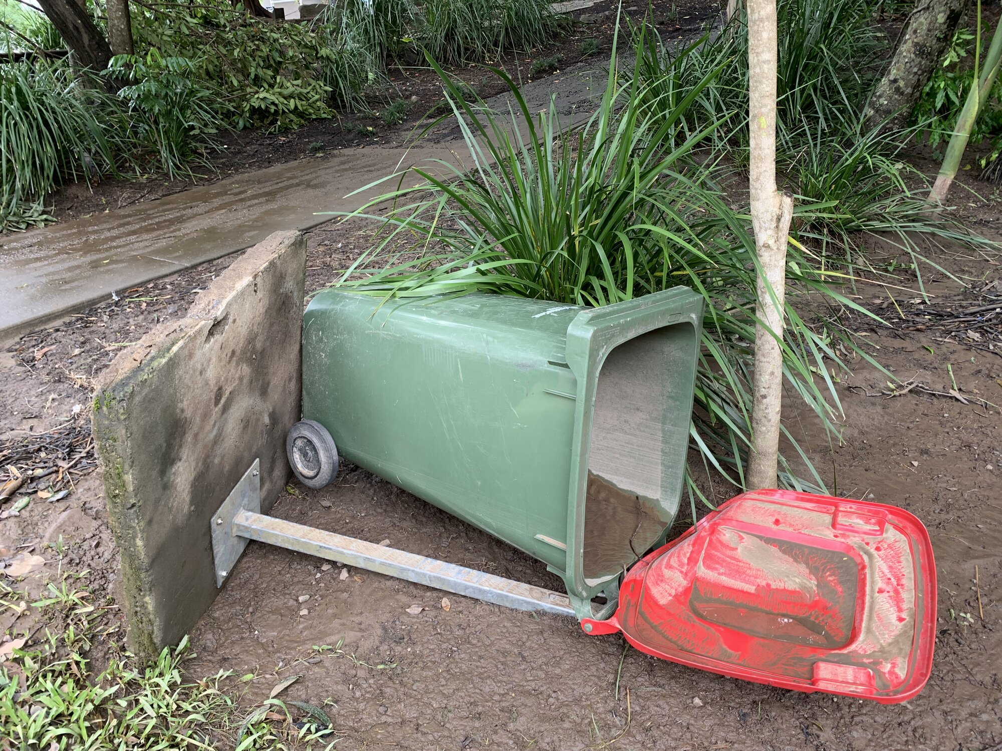 Flood affected wheelie bin at Quota Park, Nambour. February 2022