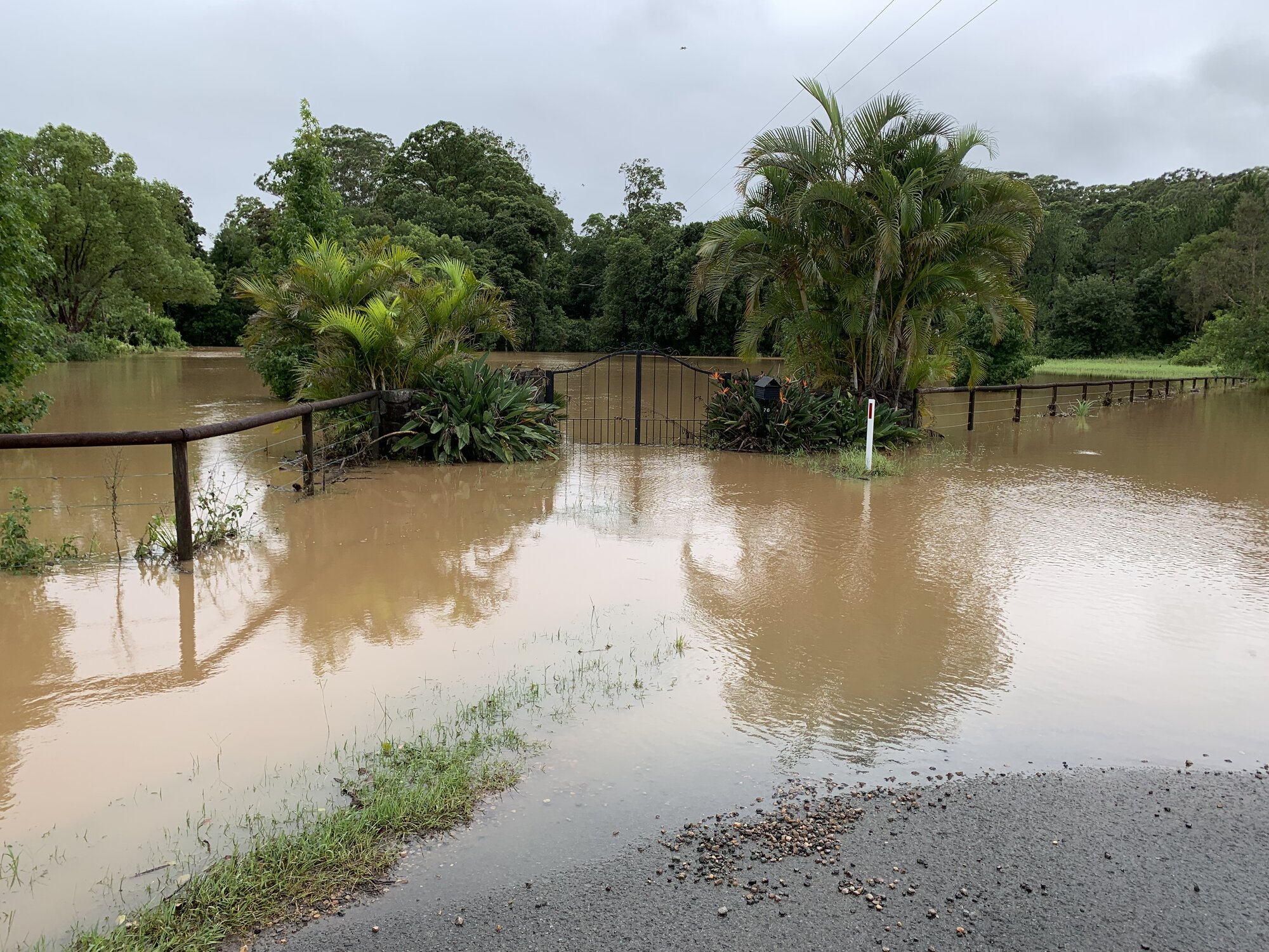 Flooded Jubilee Drive, Palmwoods. February 2022.