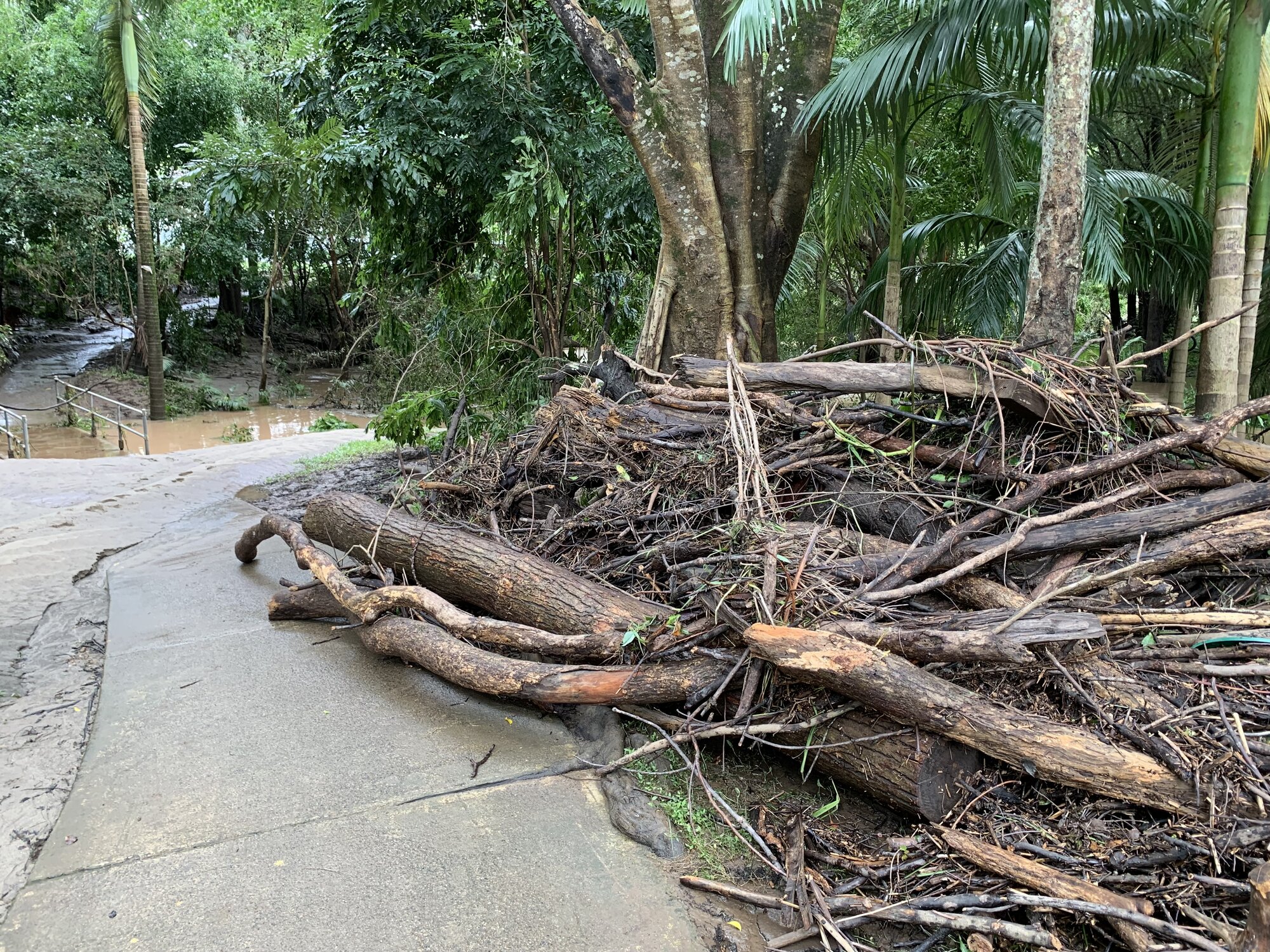 Flood debris on the foot path at Model Railway Park, Nambour. February 2022.