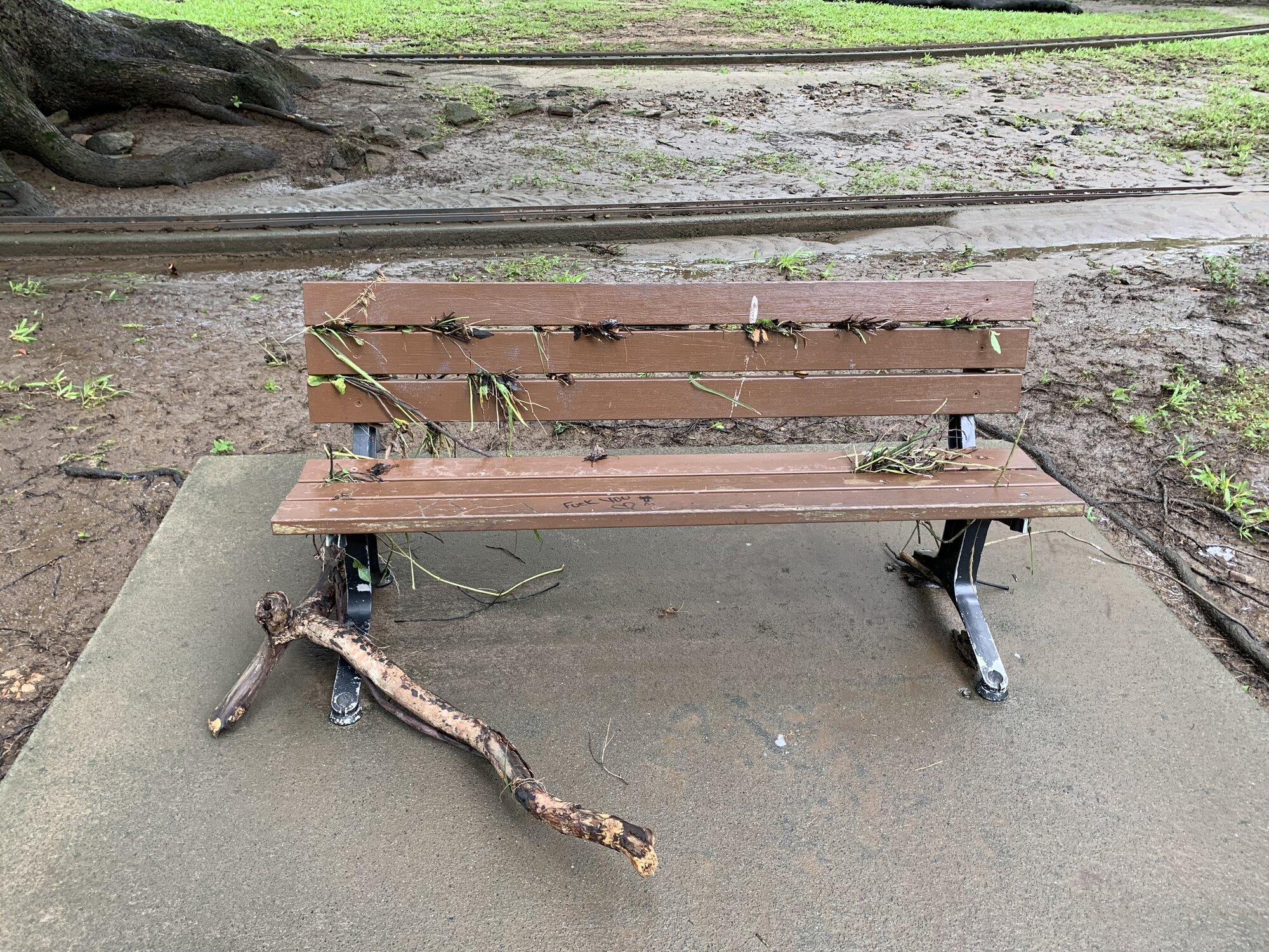 Flood aftermath on park bench at Model Railway Park, Nambour. February 2022