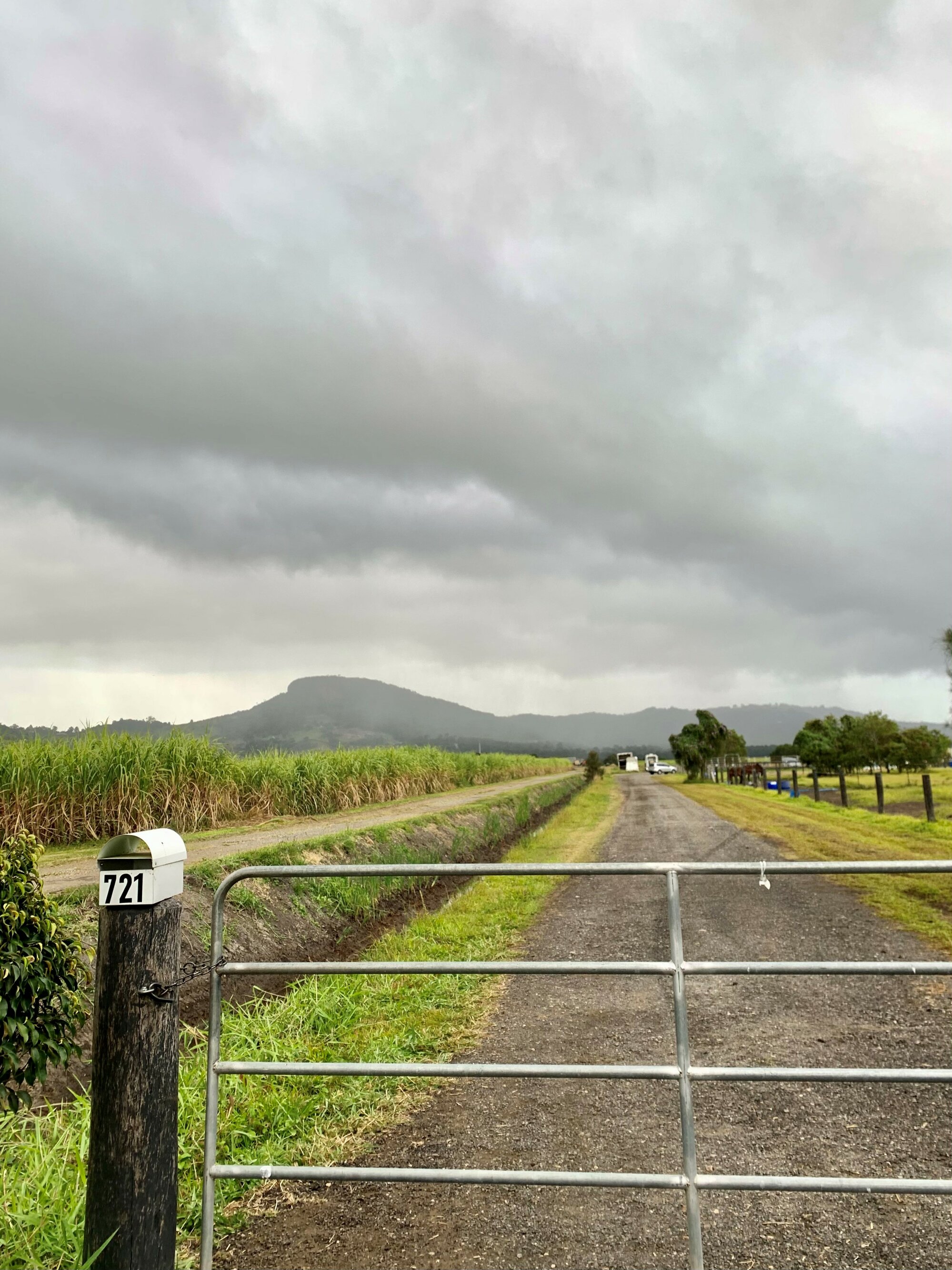 Mount Ninderry