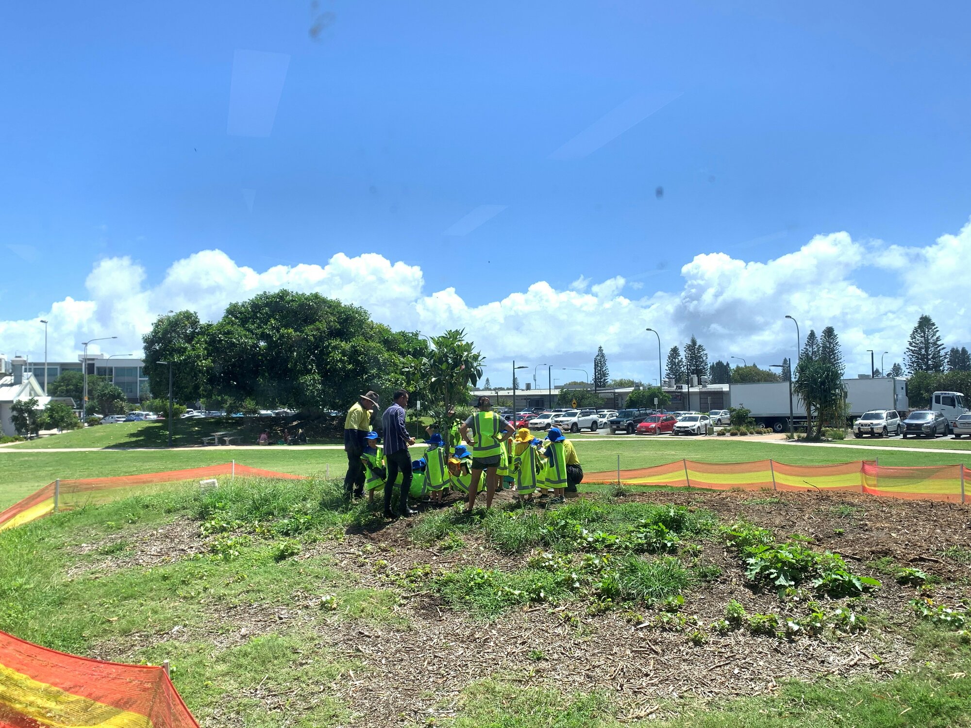 Tree planting at Coolum February 2021