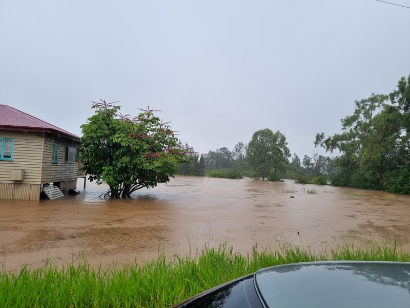 Petrie Creek flooding 