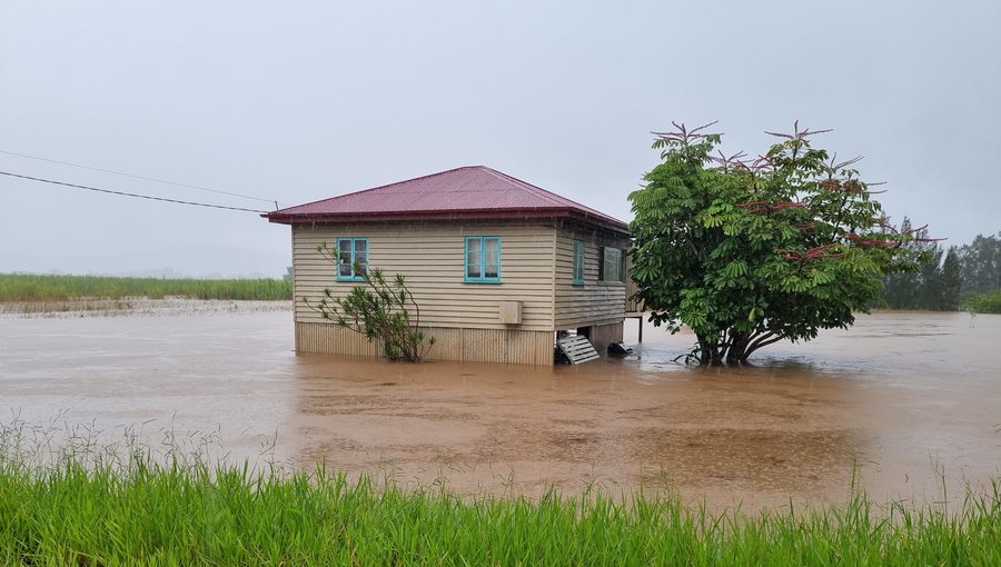Petrie Creek Road Rosemount 