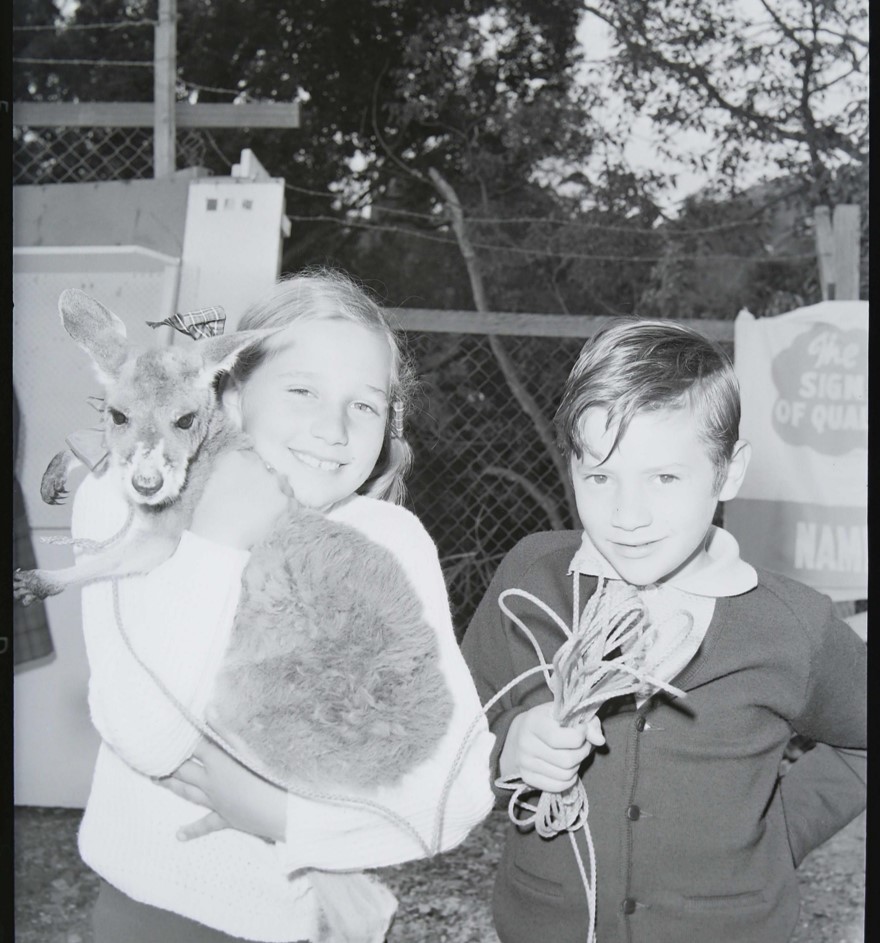 #69 - Day and Grimes Pet Parade - 1970