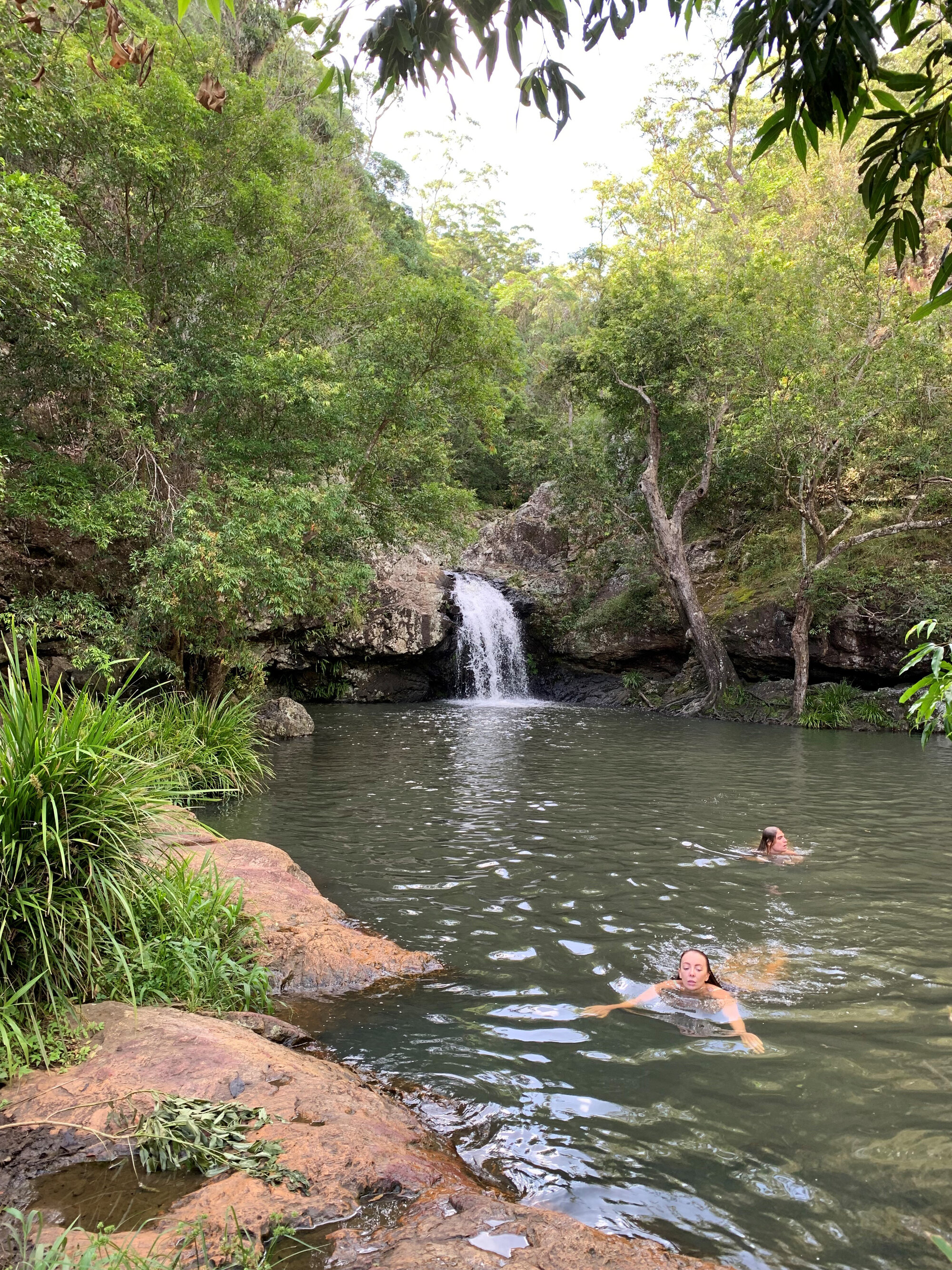 Kondalilla Falls