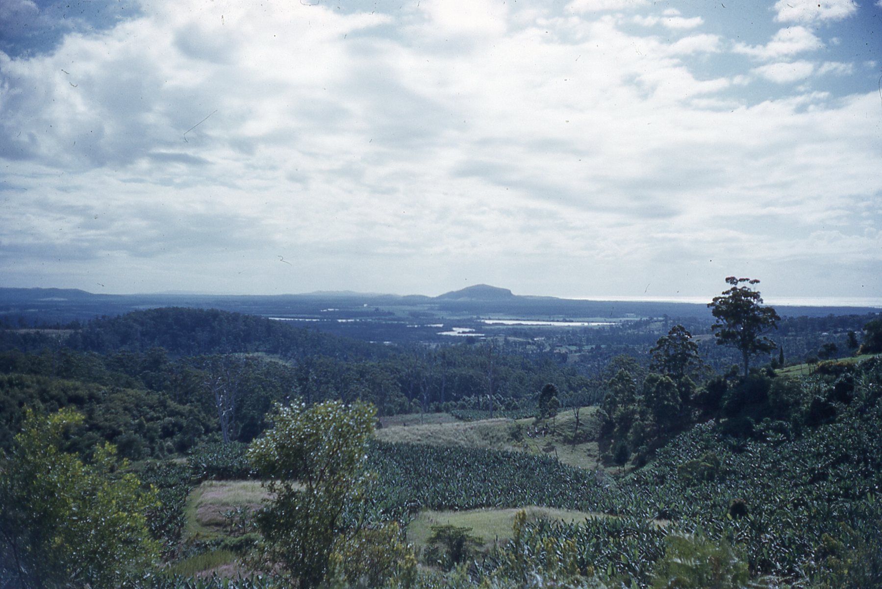 Buderim