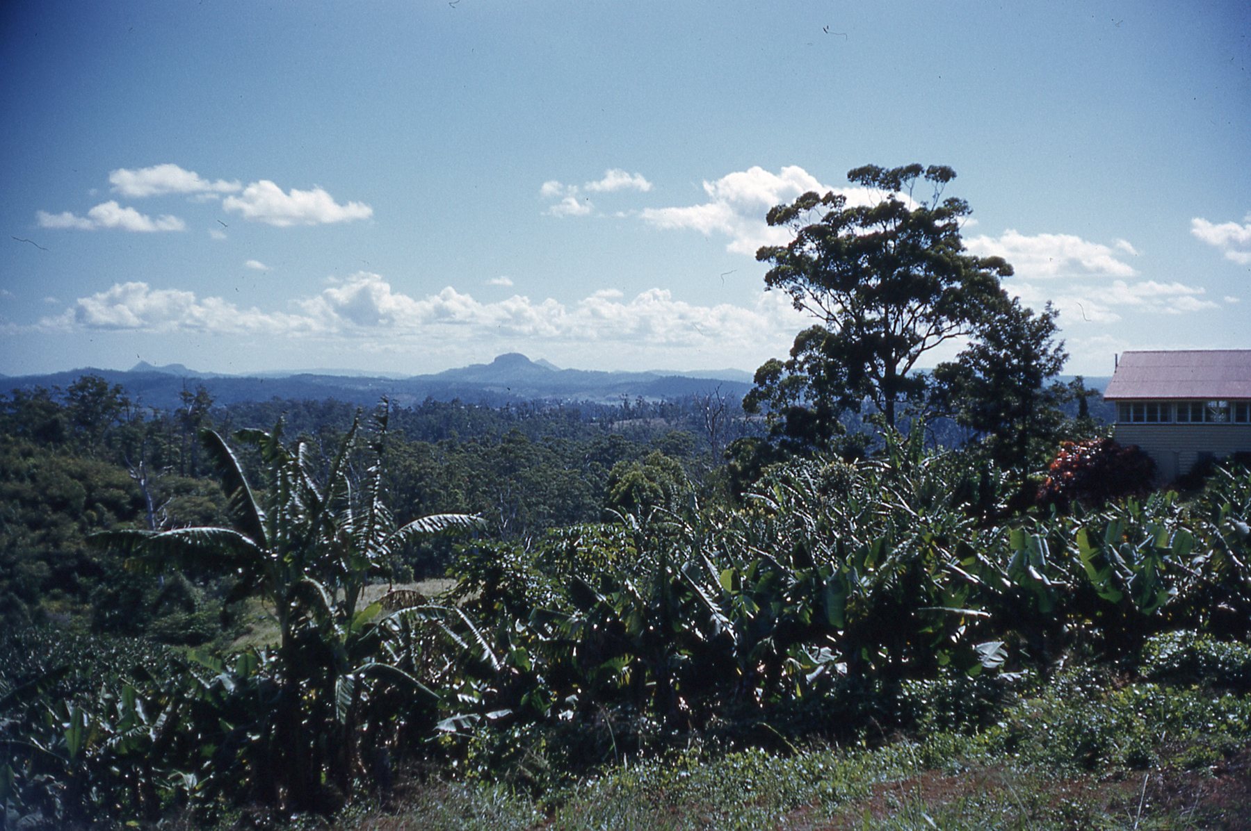 Buderim