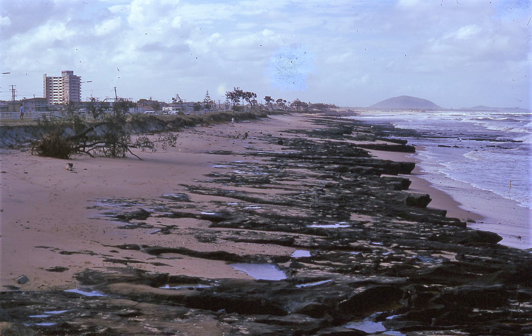 Alex beach