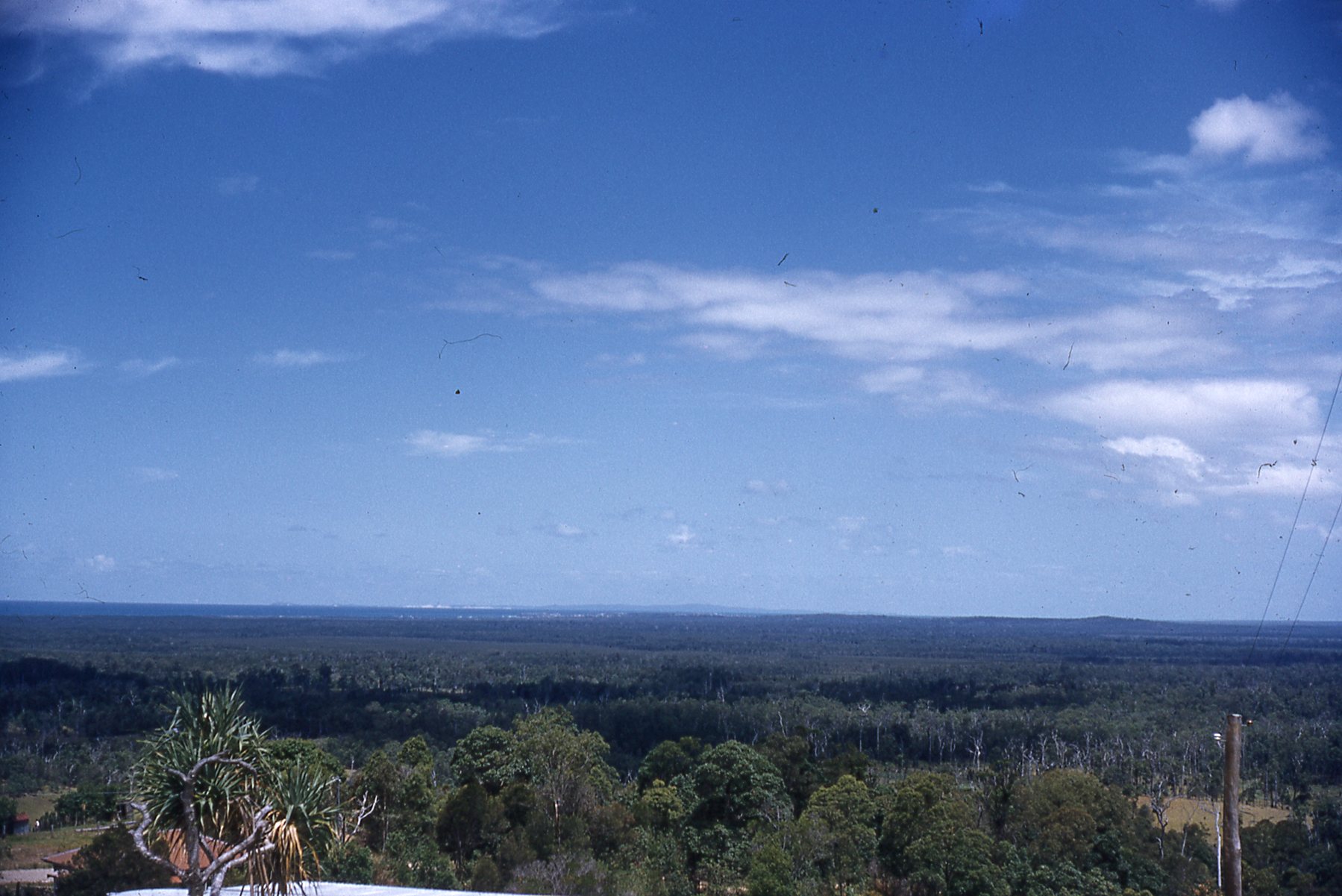From Buderim
