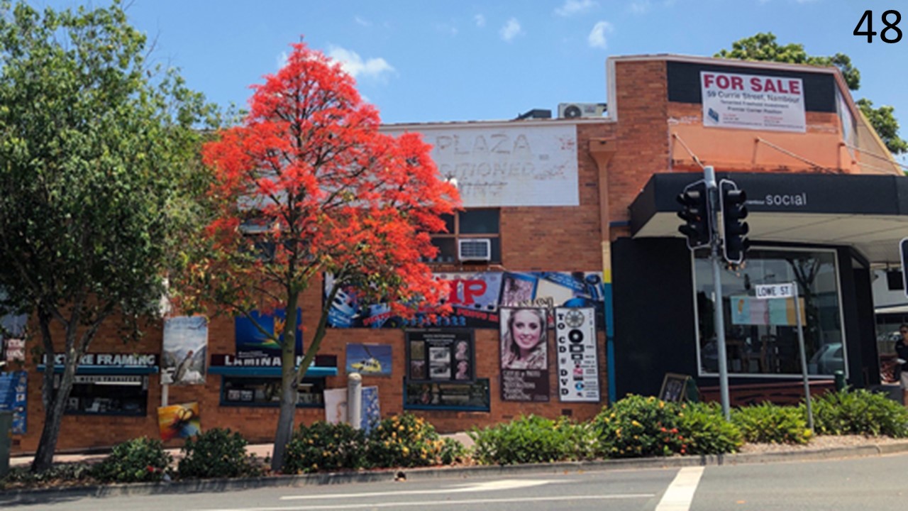 Flame Tree in bloom, Lowe Street, Nambour 2021
