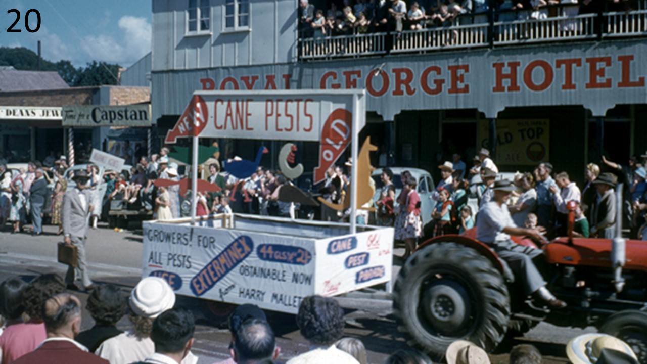 Currie Street, Nambour 1959