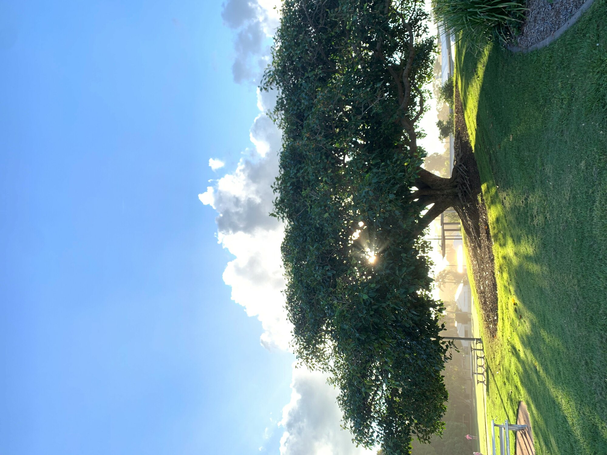Jack Morgan Park, Coolum Beach