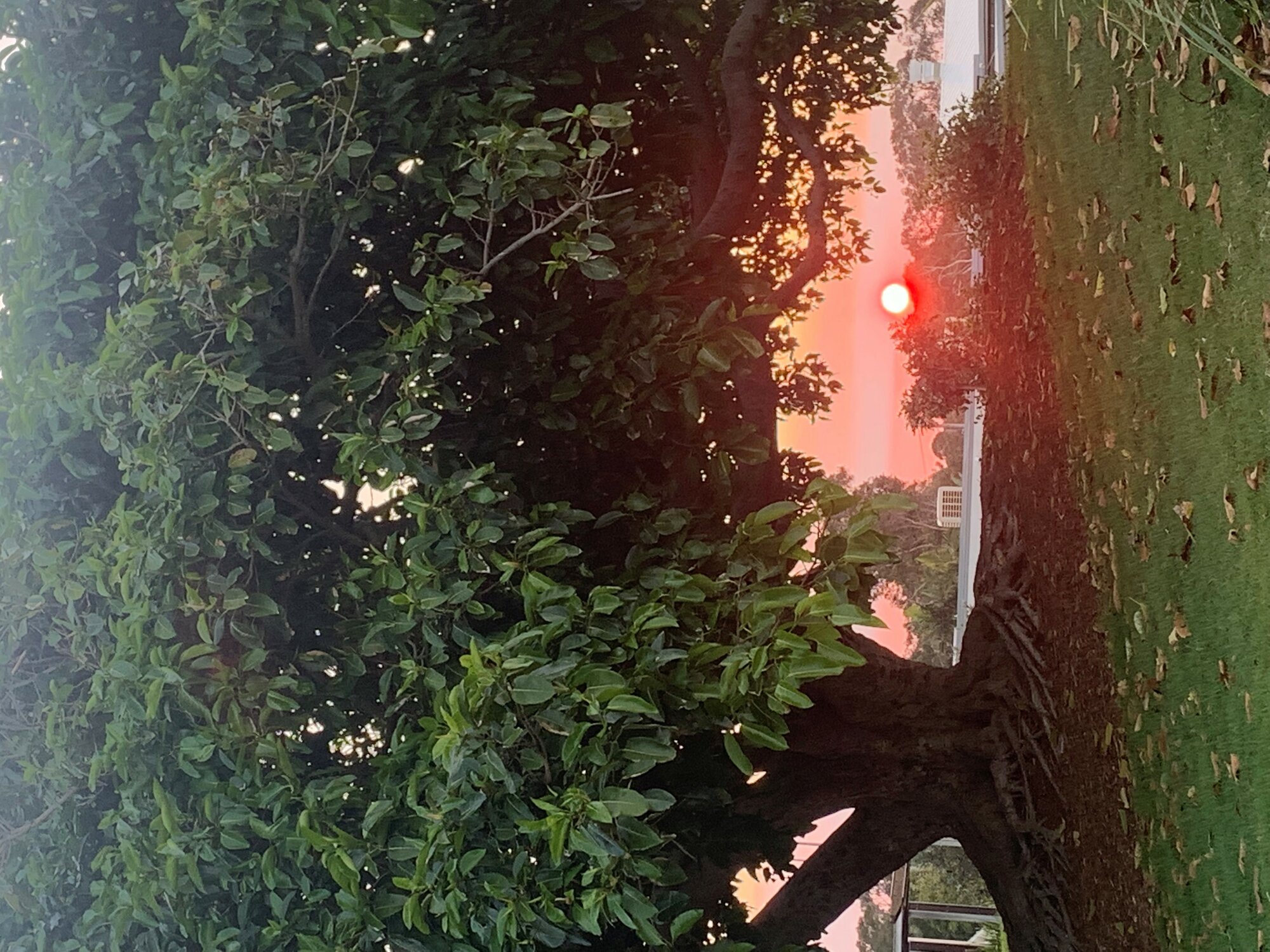 Sunset at Coolum July 2021