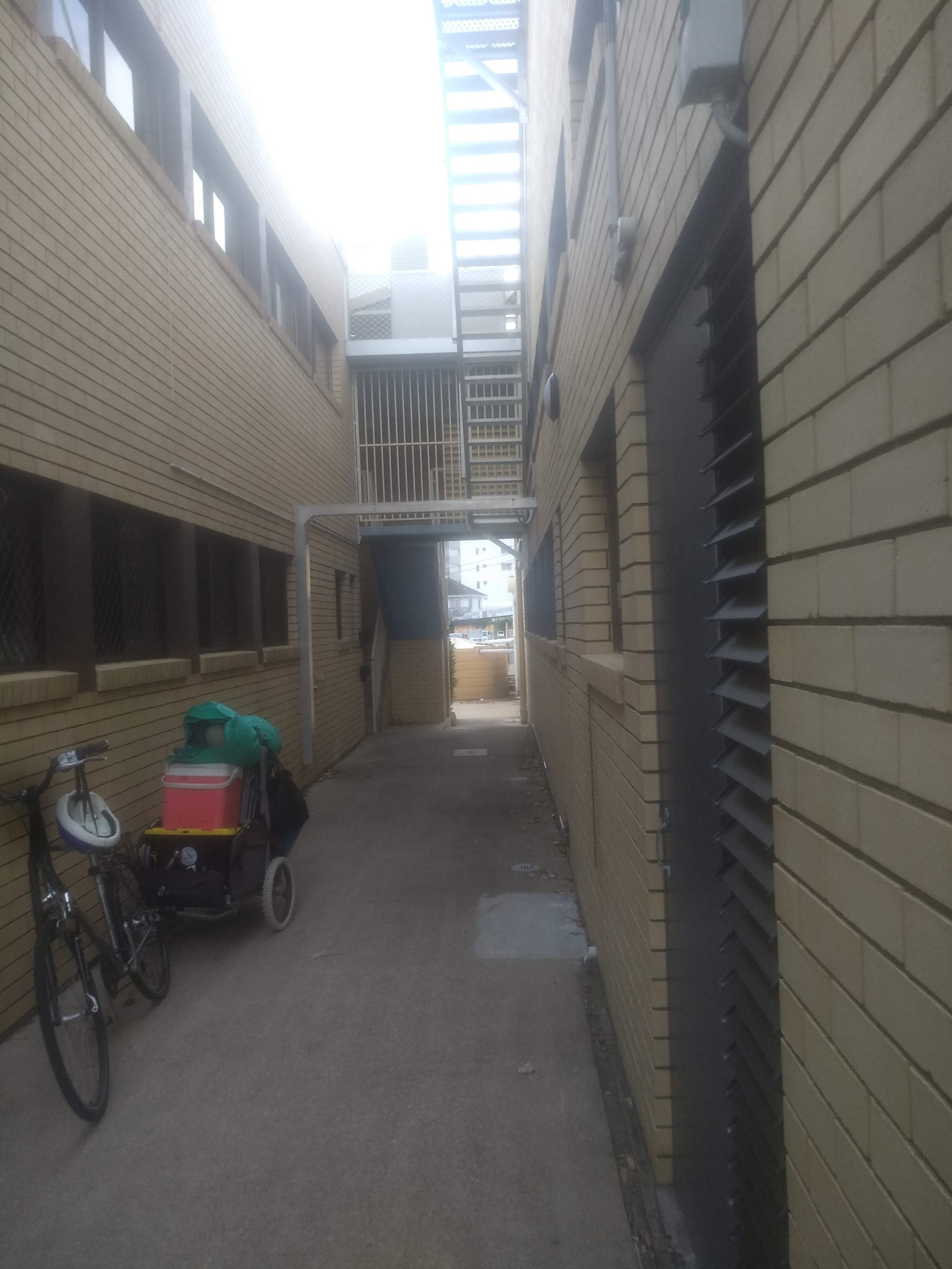 Cotton Tree Alleyway