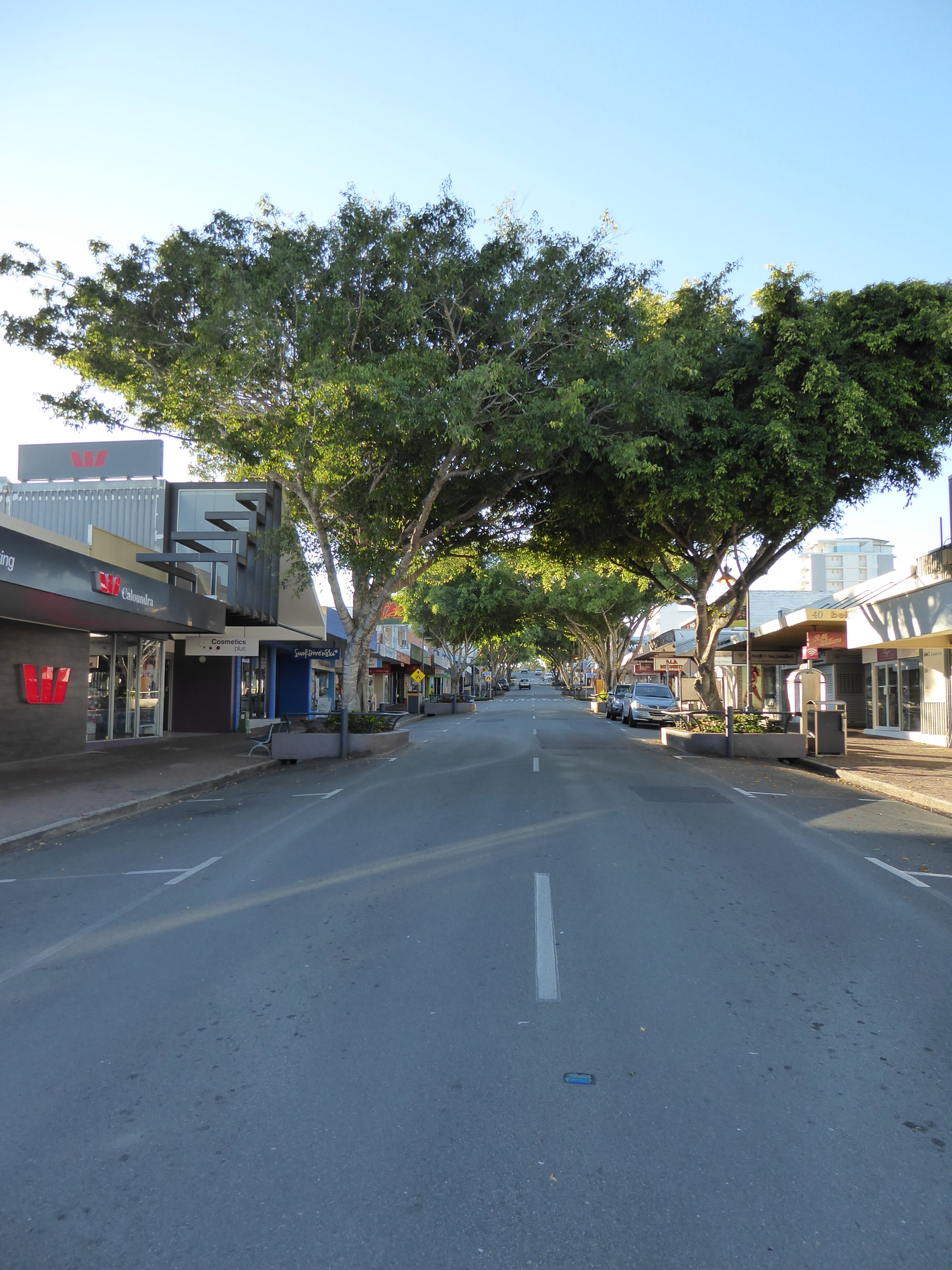 Bulcock Street