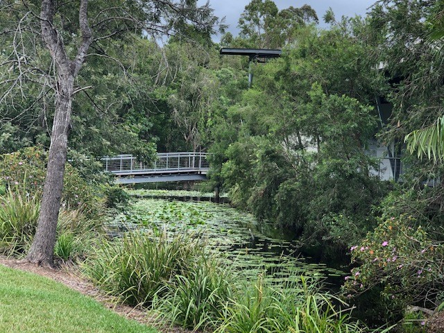 The bridge