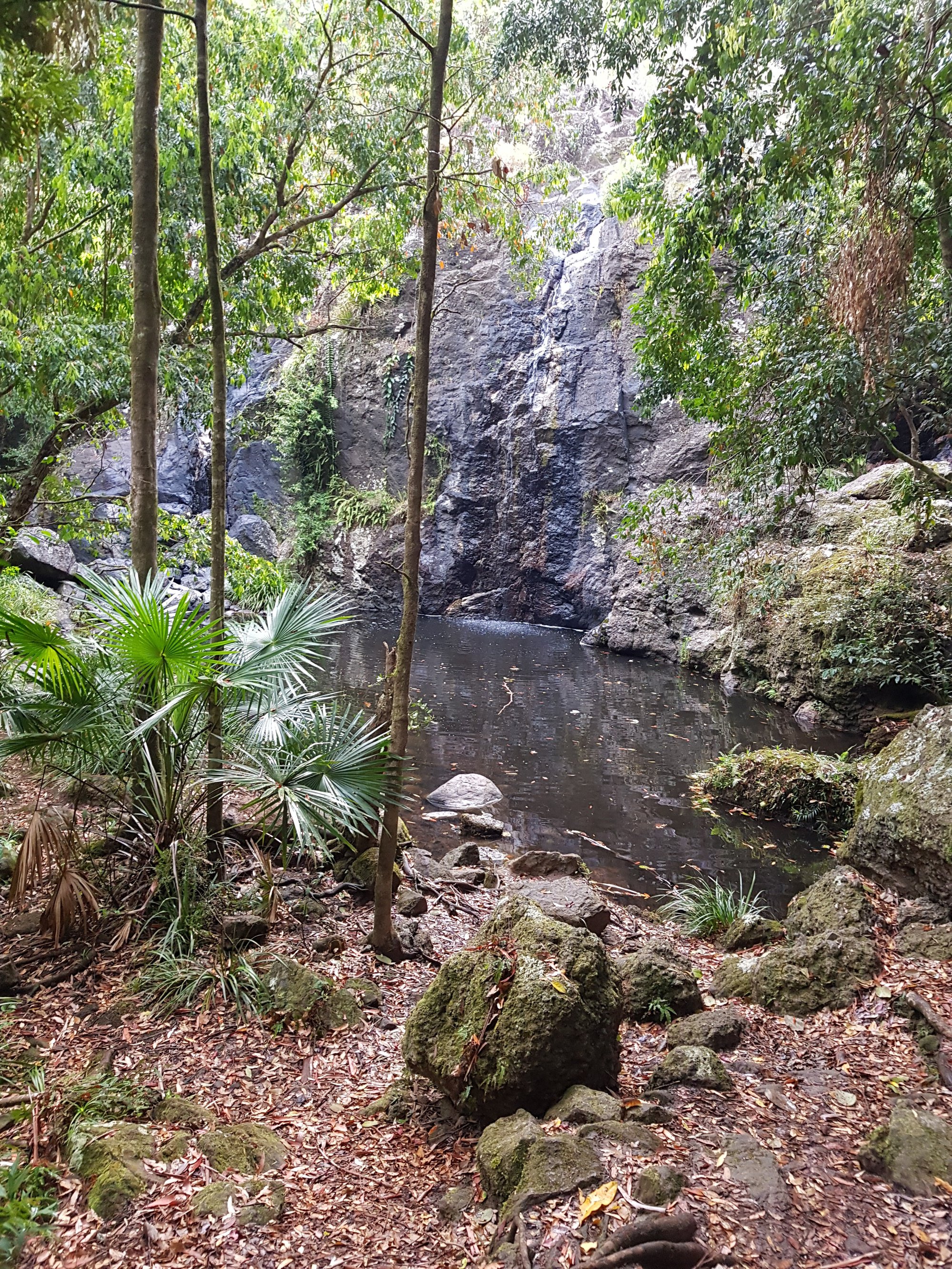 Waterfall at Cilento Park, Nambour 