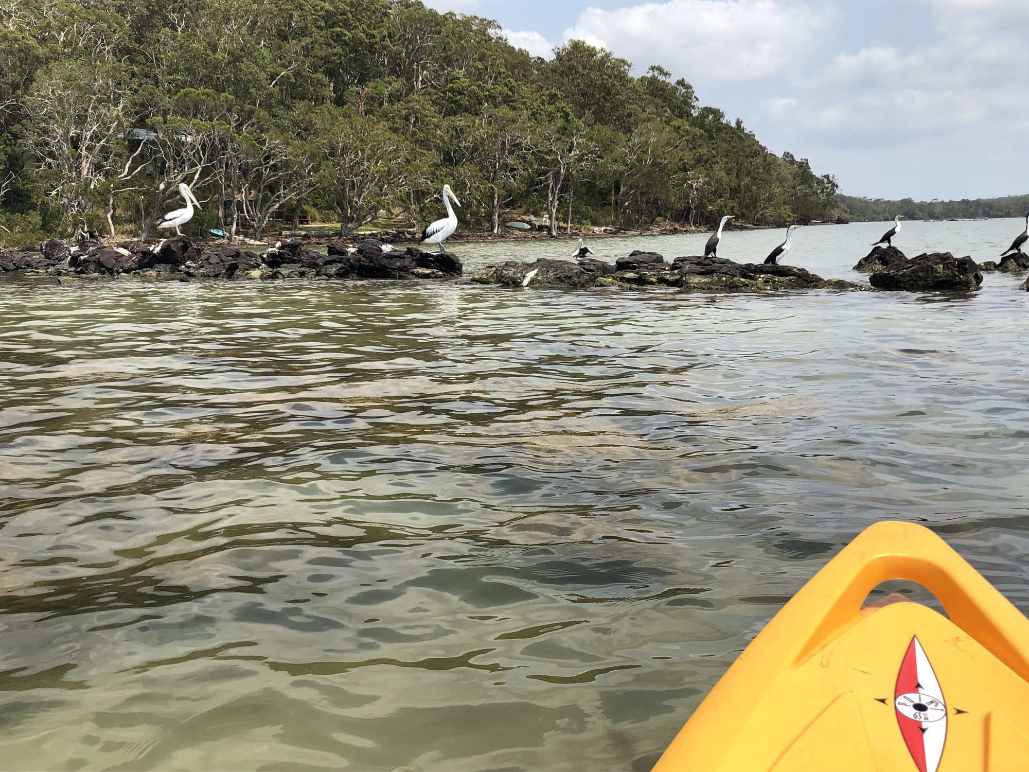 Kayaking in Lake Weyba 2019