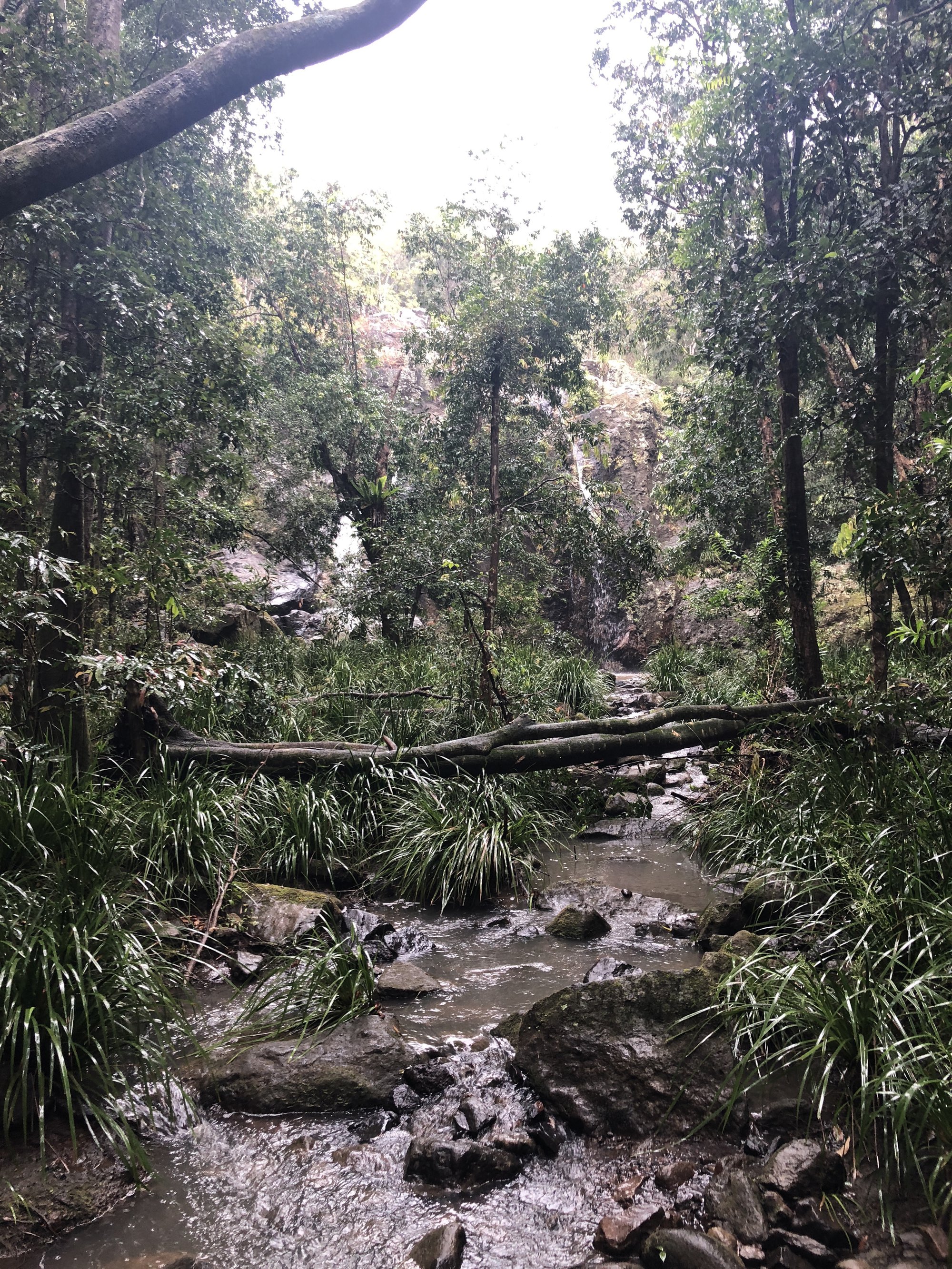 Cilento Park Nambour