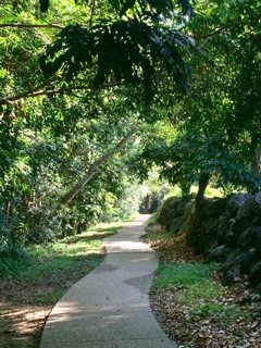 Walkway Obi Obi Creek, near Maleny Library