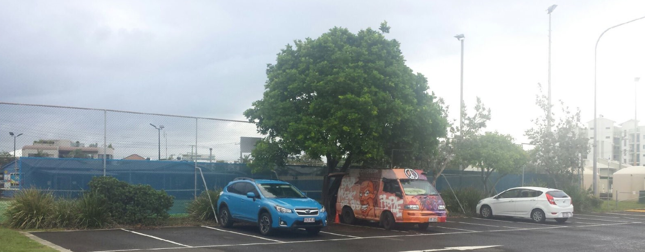 Misty morning, tennis court car park, Cotton Tree