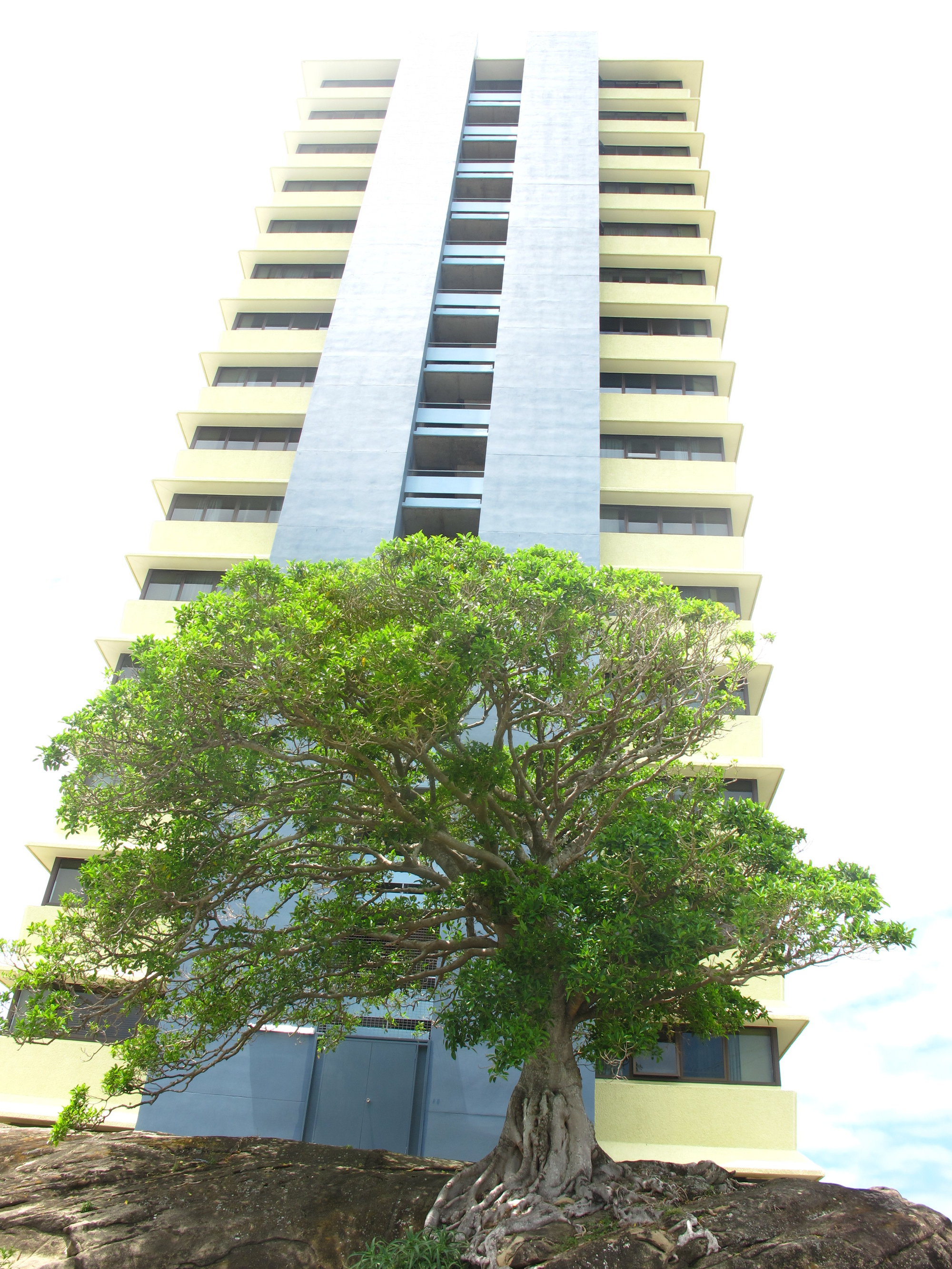 Various views around Caloundra