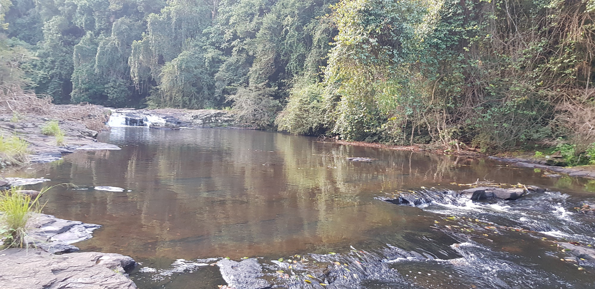 Gardeners Falls Maleny